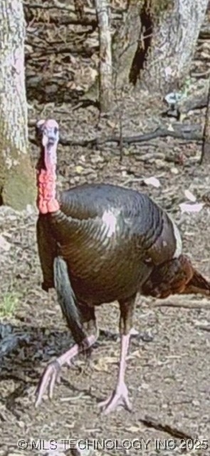 0000 S Hwy 82 A Property Photo 25