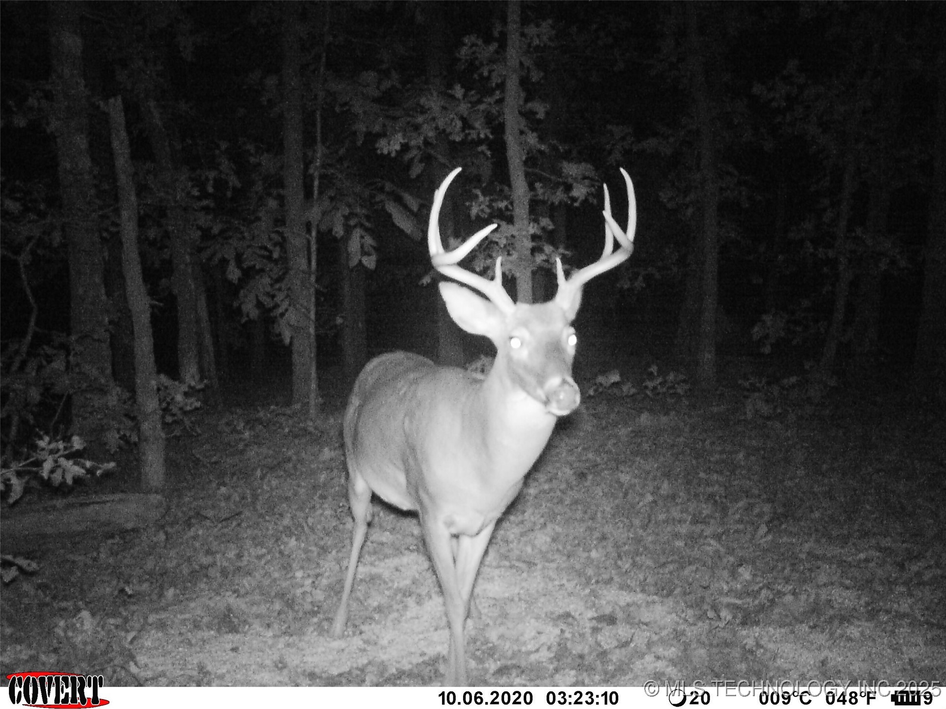 0000 S Hwy 82 A Property Photo 26