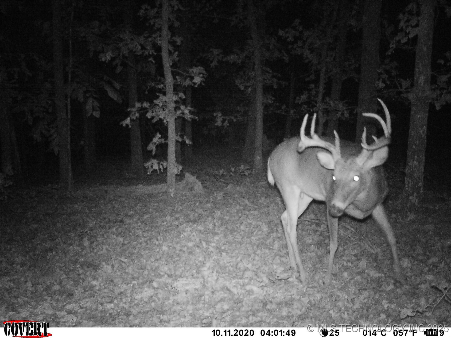 0000 S Hwy 82 A Property Photo 27