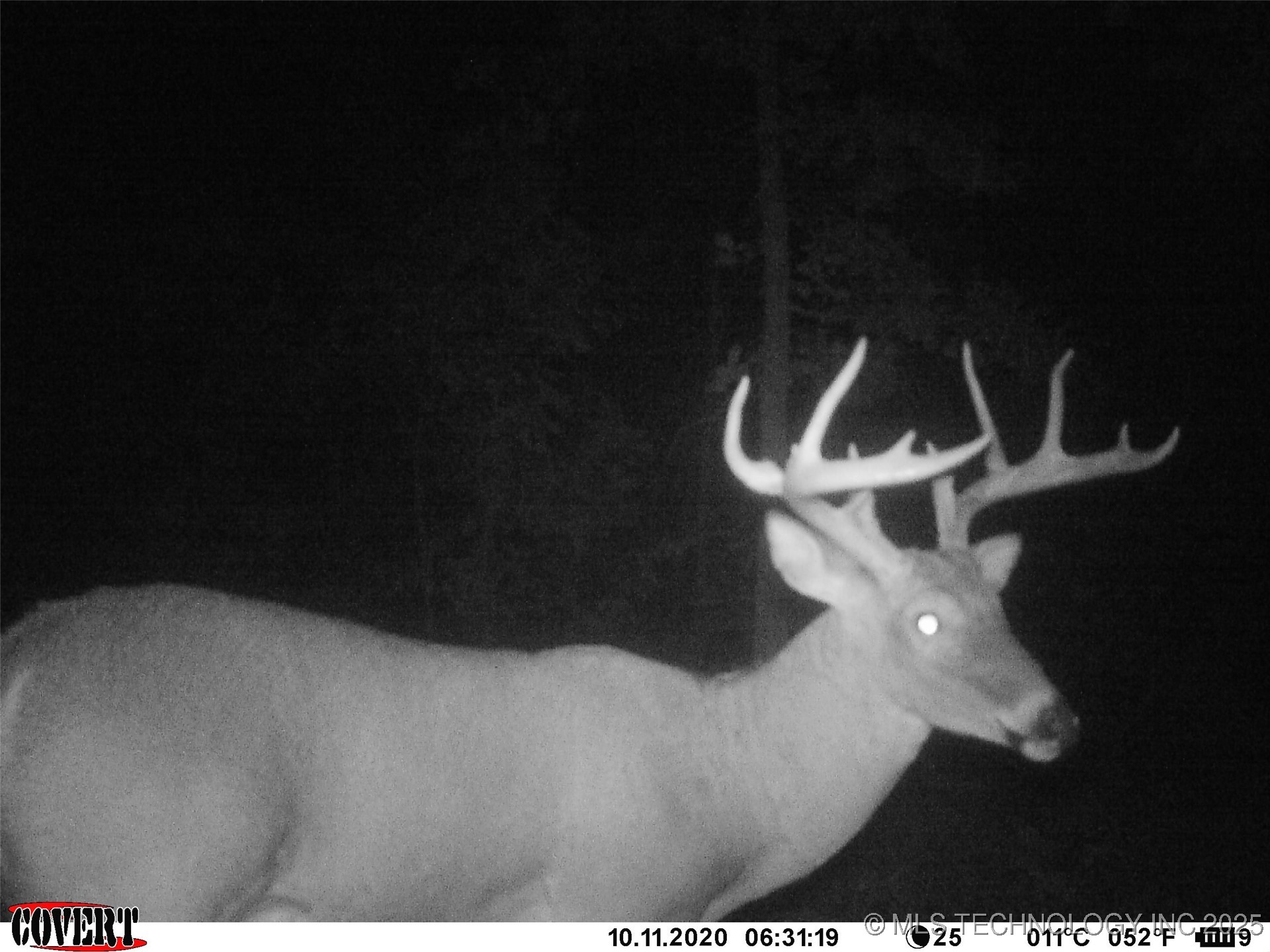 0000 S Hwy 82 A Property Photo 28