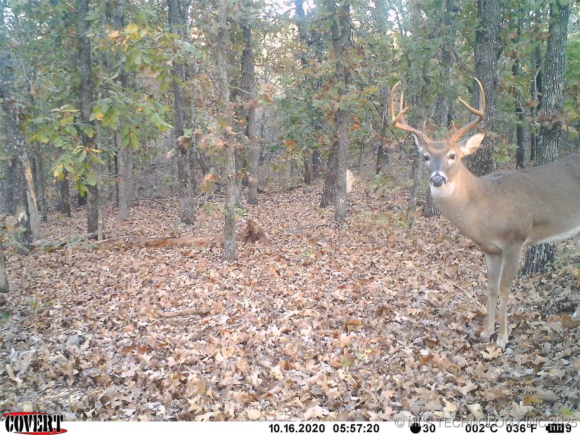 0000 S Hwy 82 A Property Photo 29