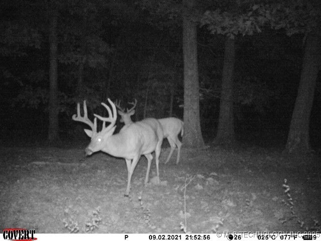 0000 S Hwy 82 A Property Photo 30