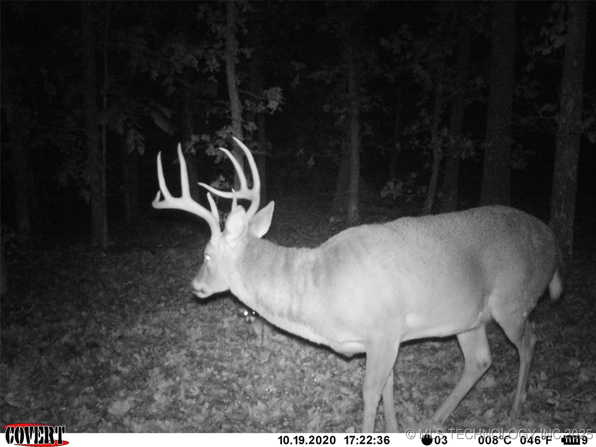 0000 S Hwy 82 A Property Photo 31