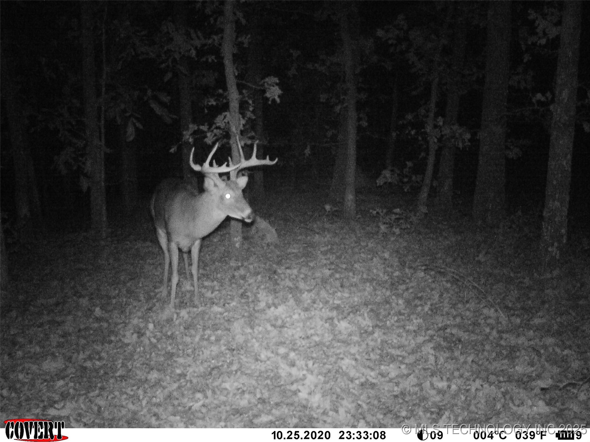 0000 S Hwy 82 A Property Photo 32