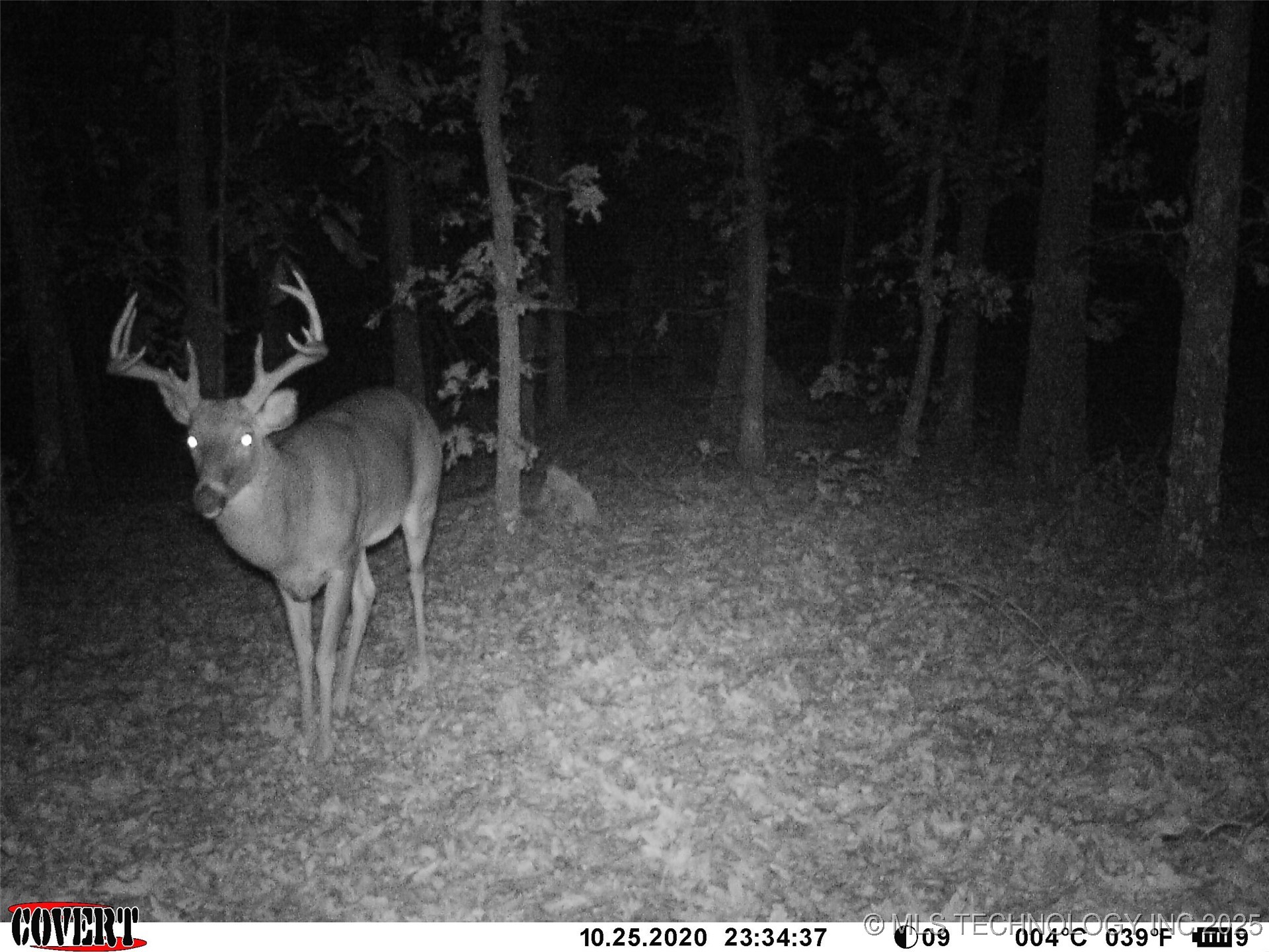 0000 S Hwy 82 A Property Photo 33