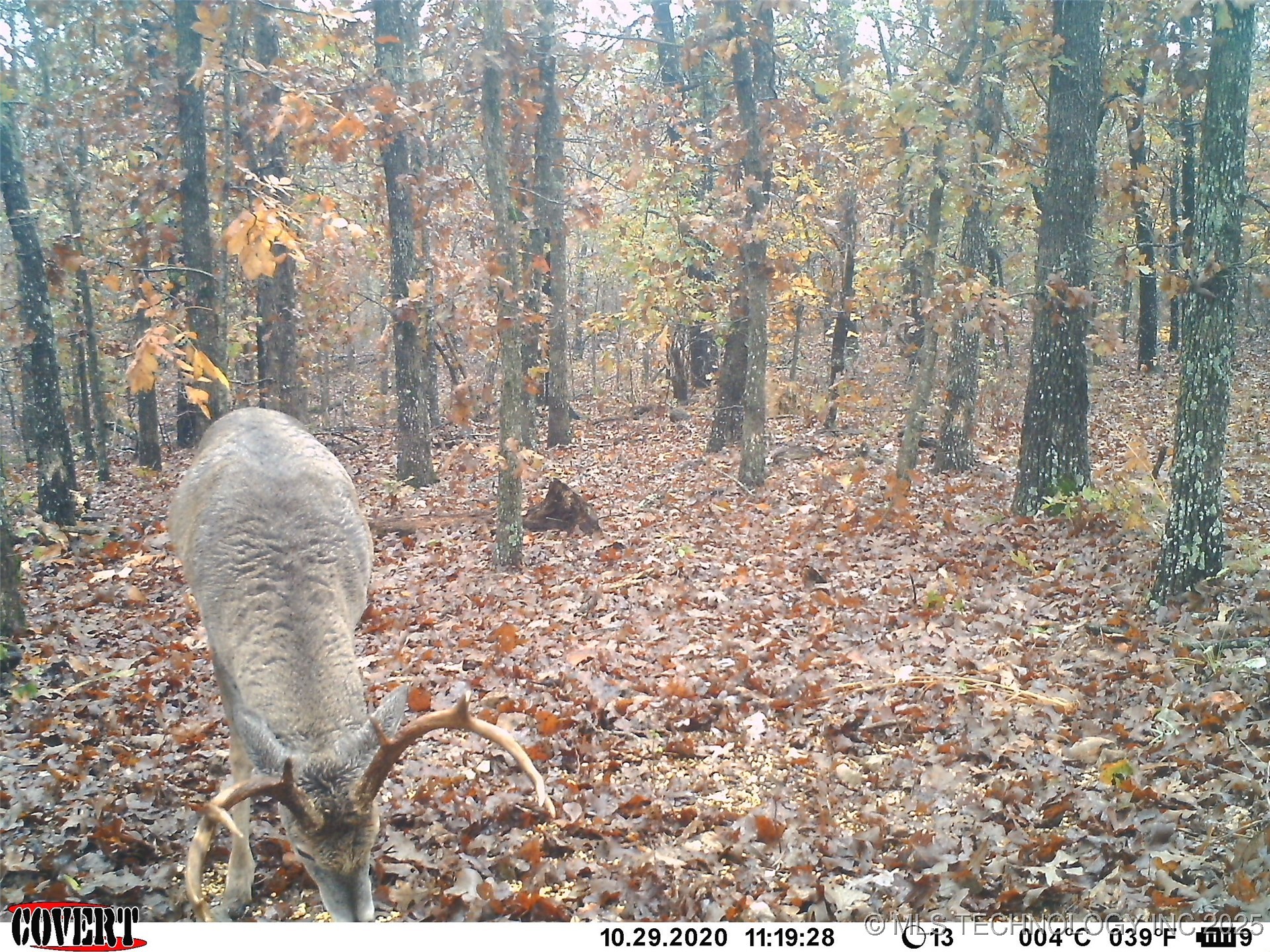 0000 S Hwy 82 A Property Photo 34