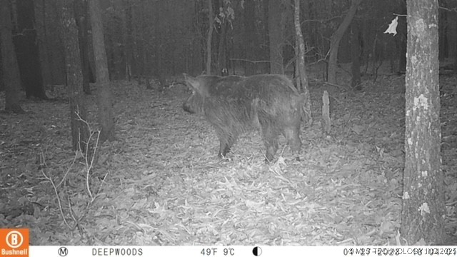 0000 S Hwy 82 A Property Photo 35