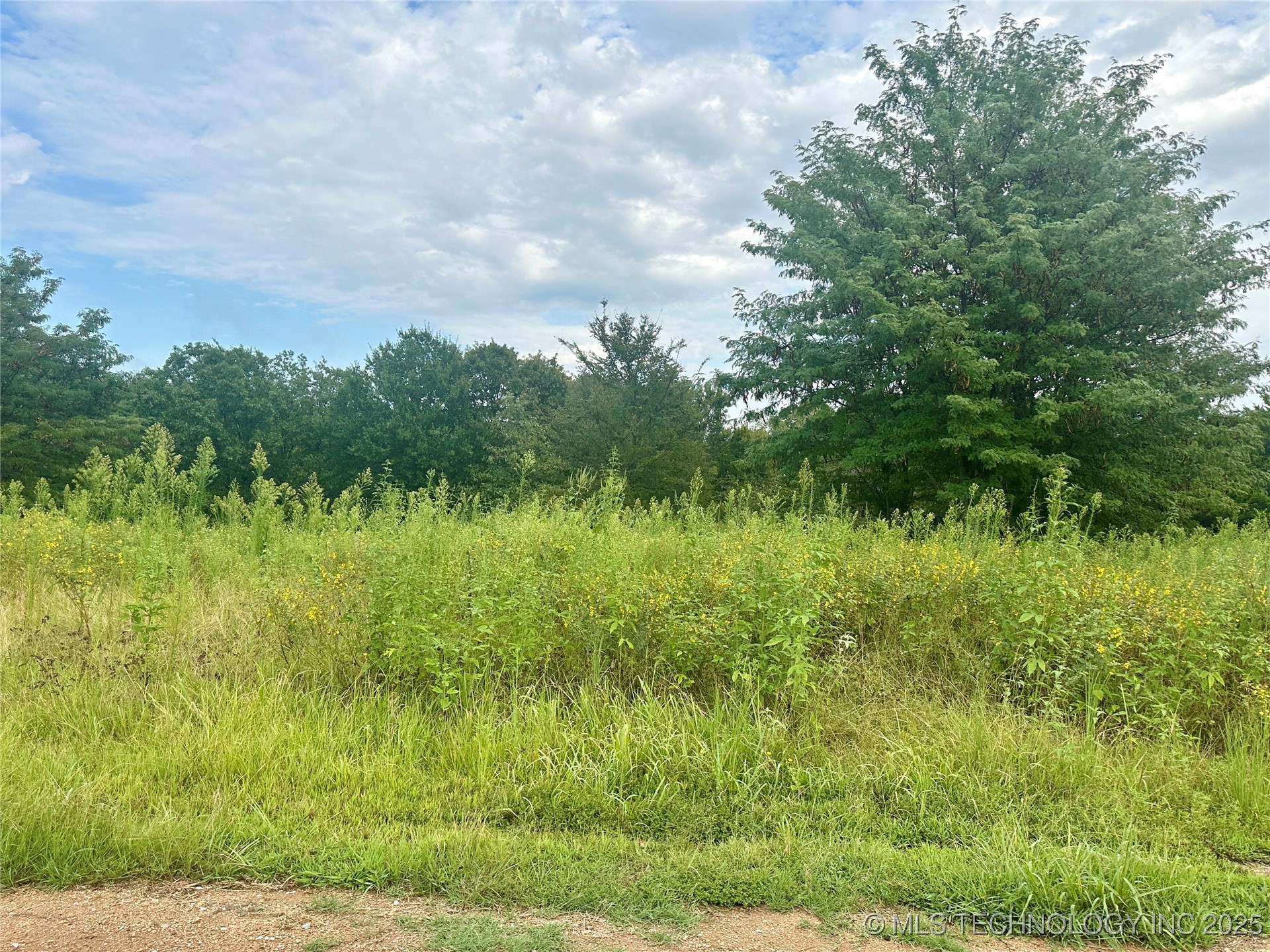 9120 S Horizon Lane Property Photo 46