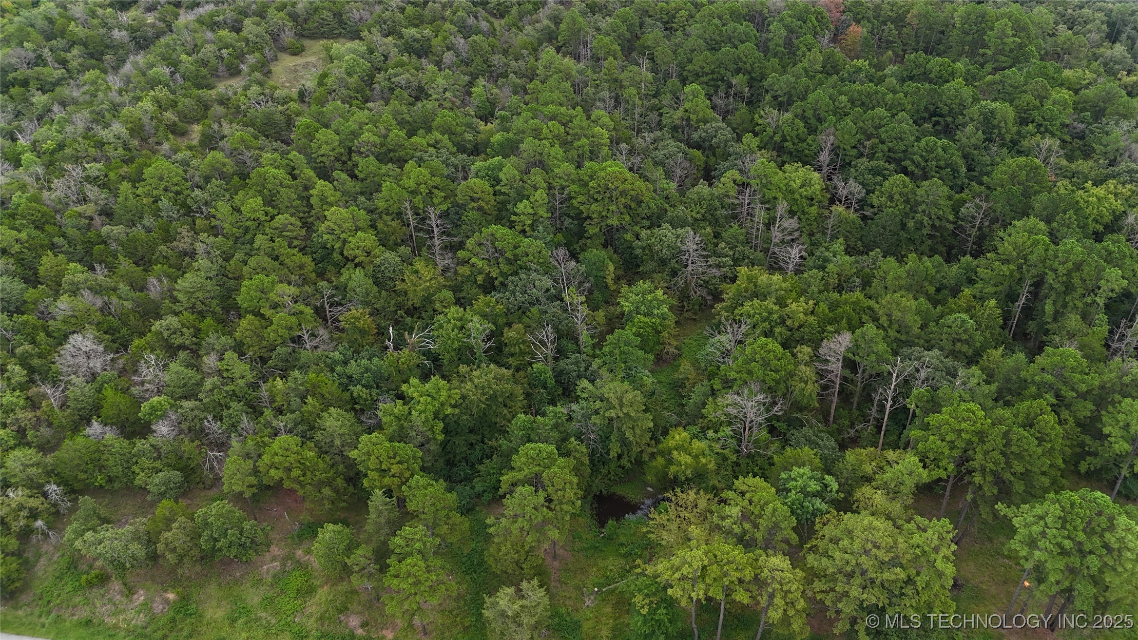 N 4335 Road Property Photo 1