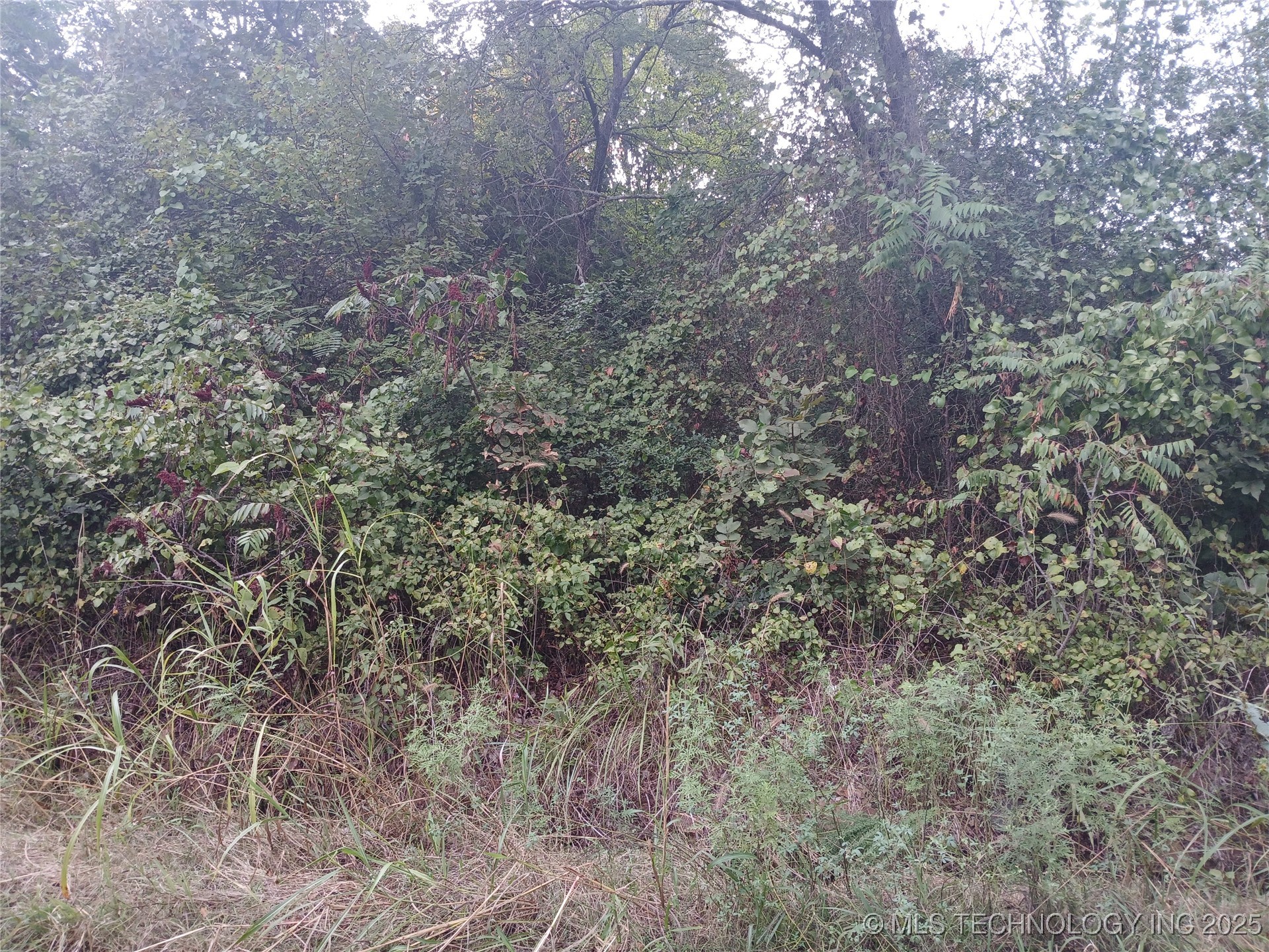 Valley Street Property Photo 1