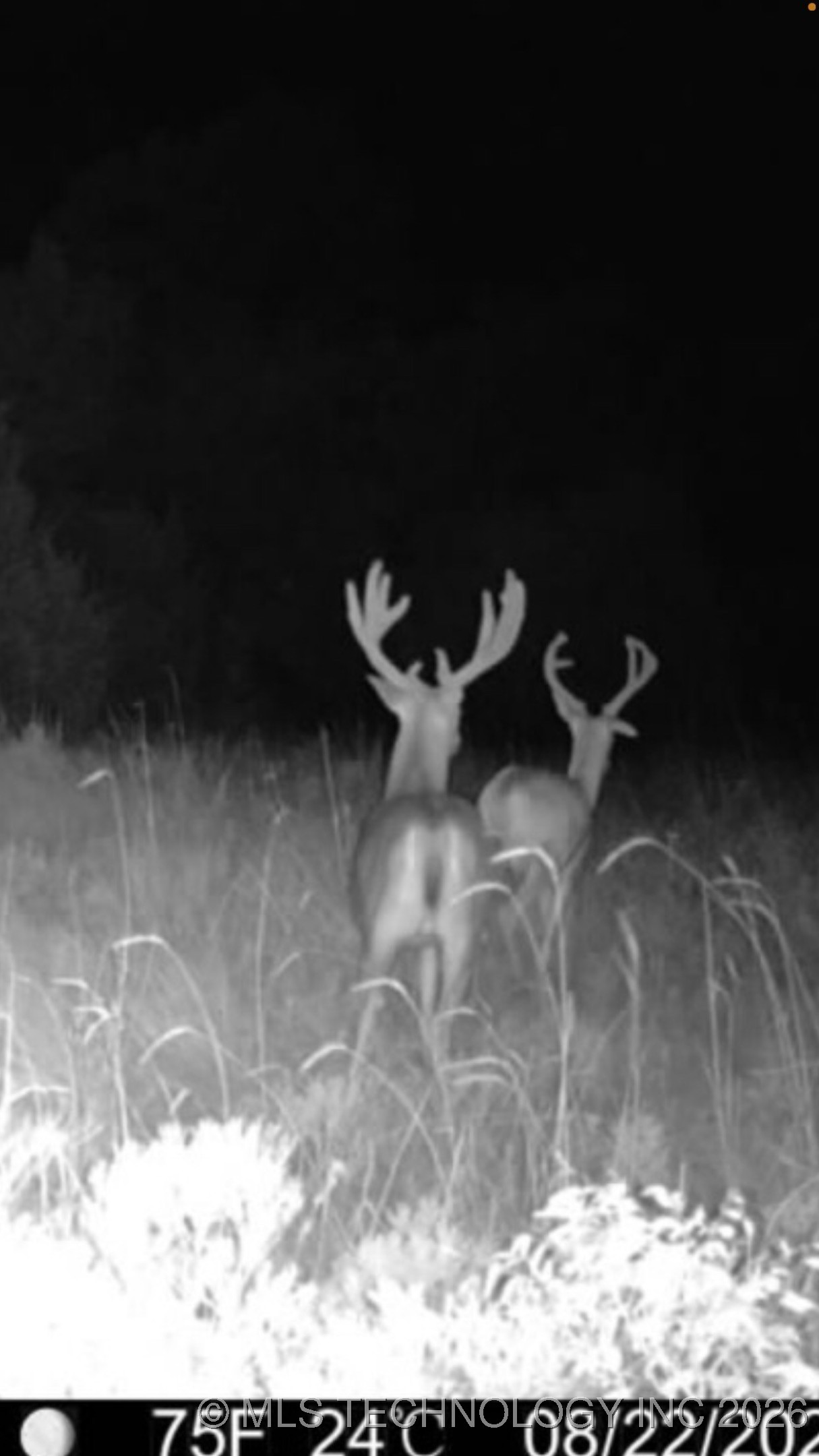 102nd Road Property Photo 34