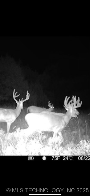 102nd Road Property Photo 35