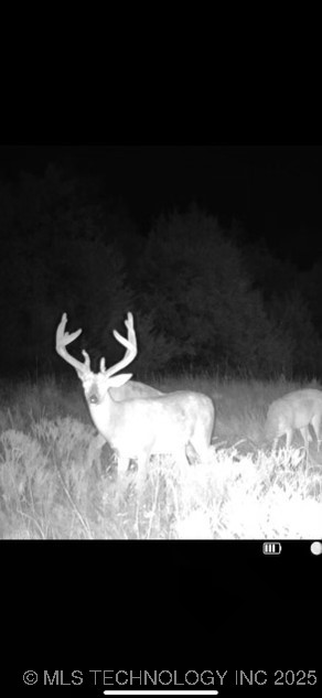 102nd Road Property Photo 36