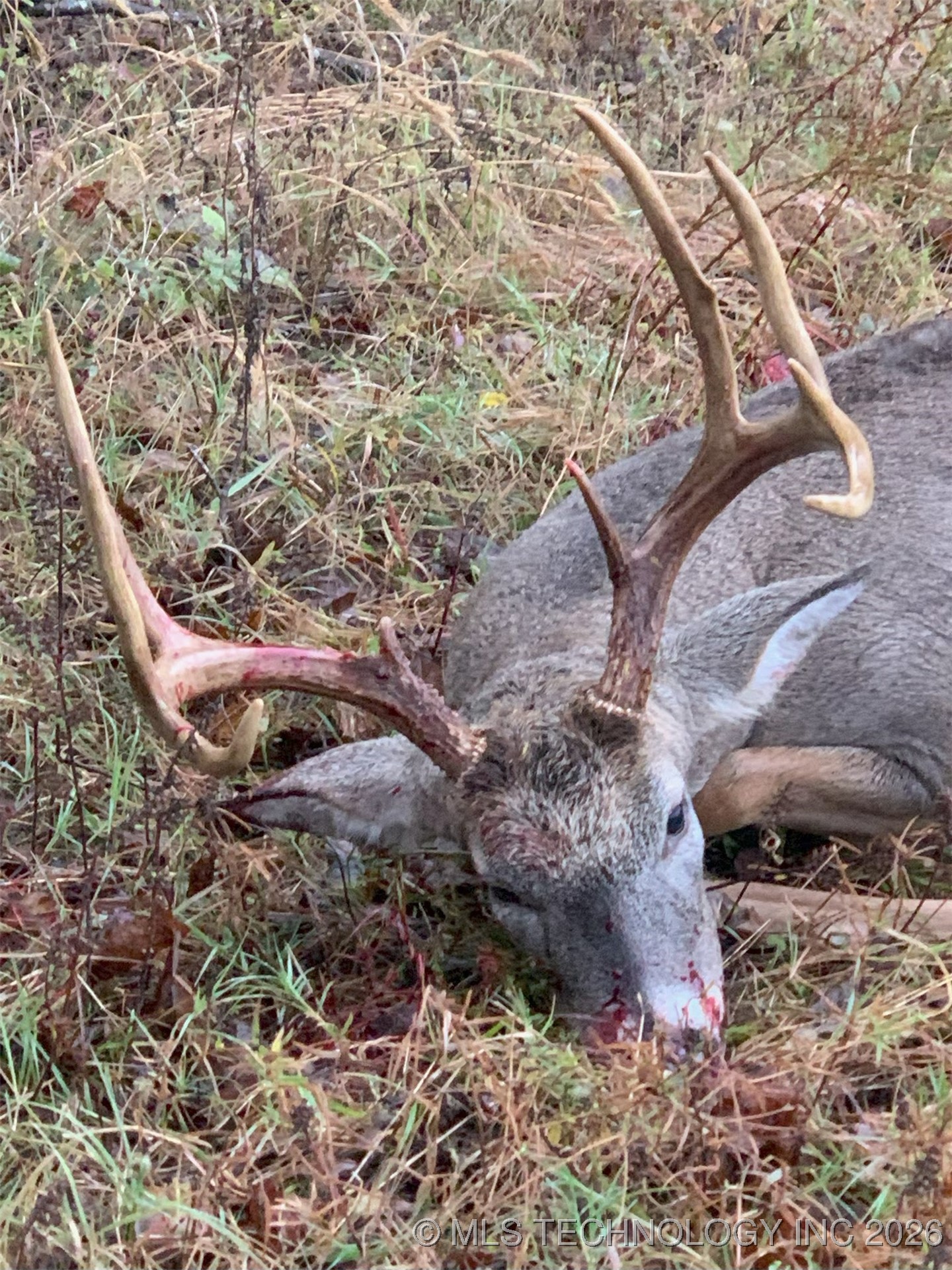 102nd Road Property Photo 37