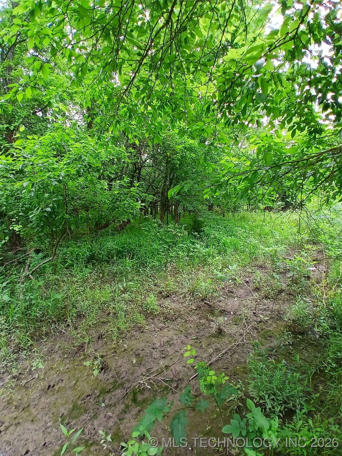 Lynn Lane Property Photo 1