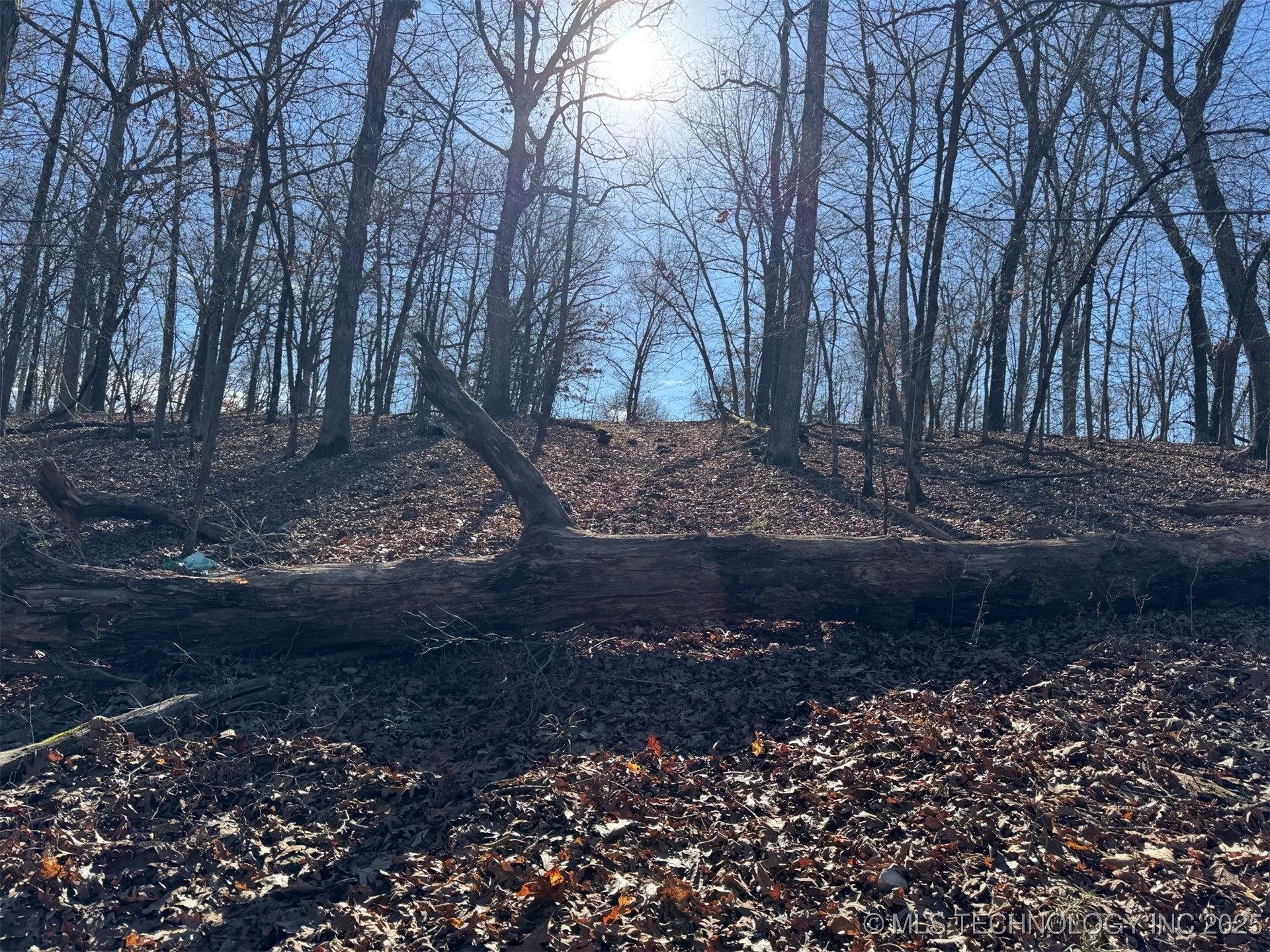 24720 S 555 Road Property Photo 10