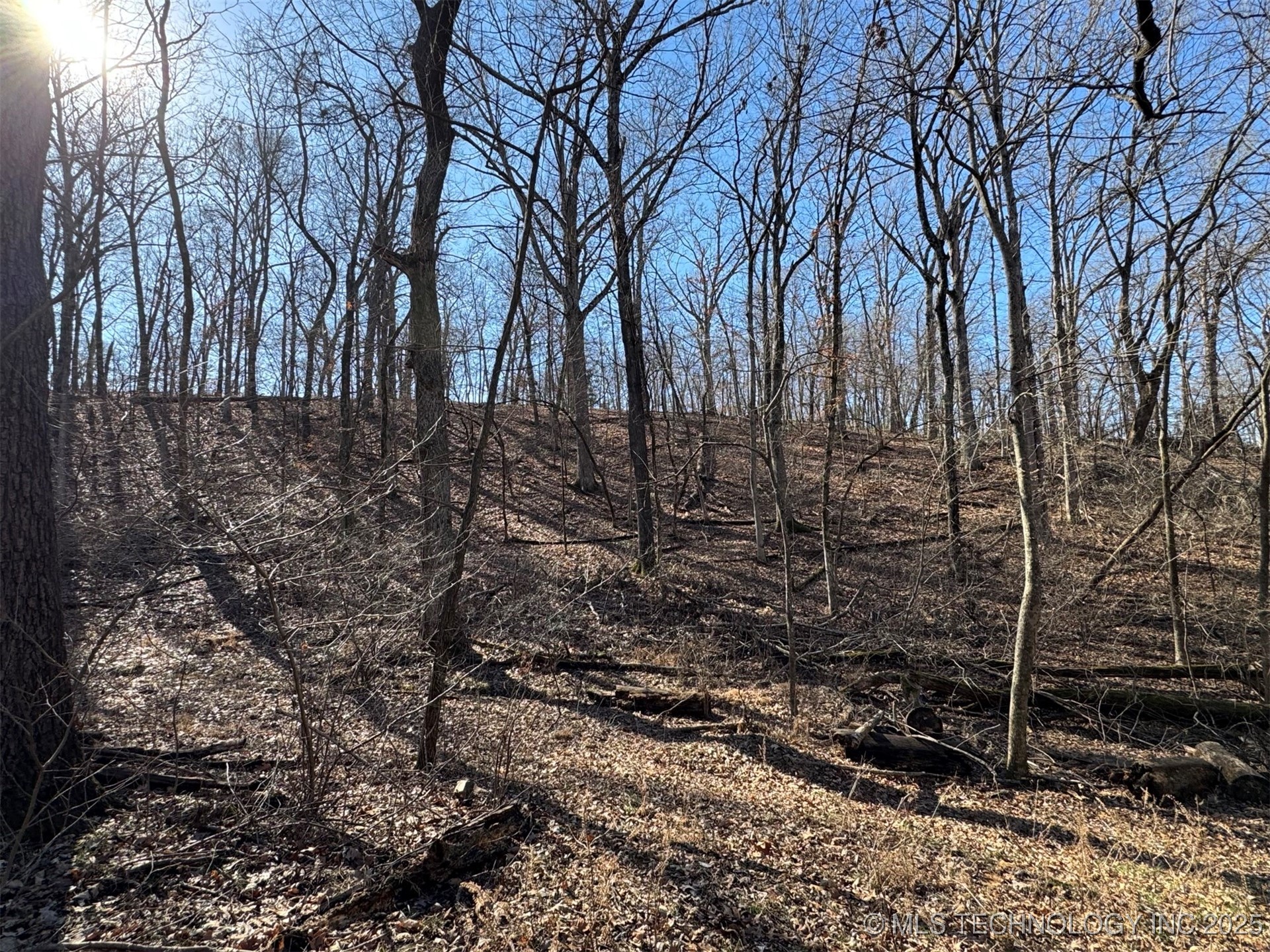 24720 S 555 Road Property Photo 11