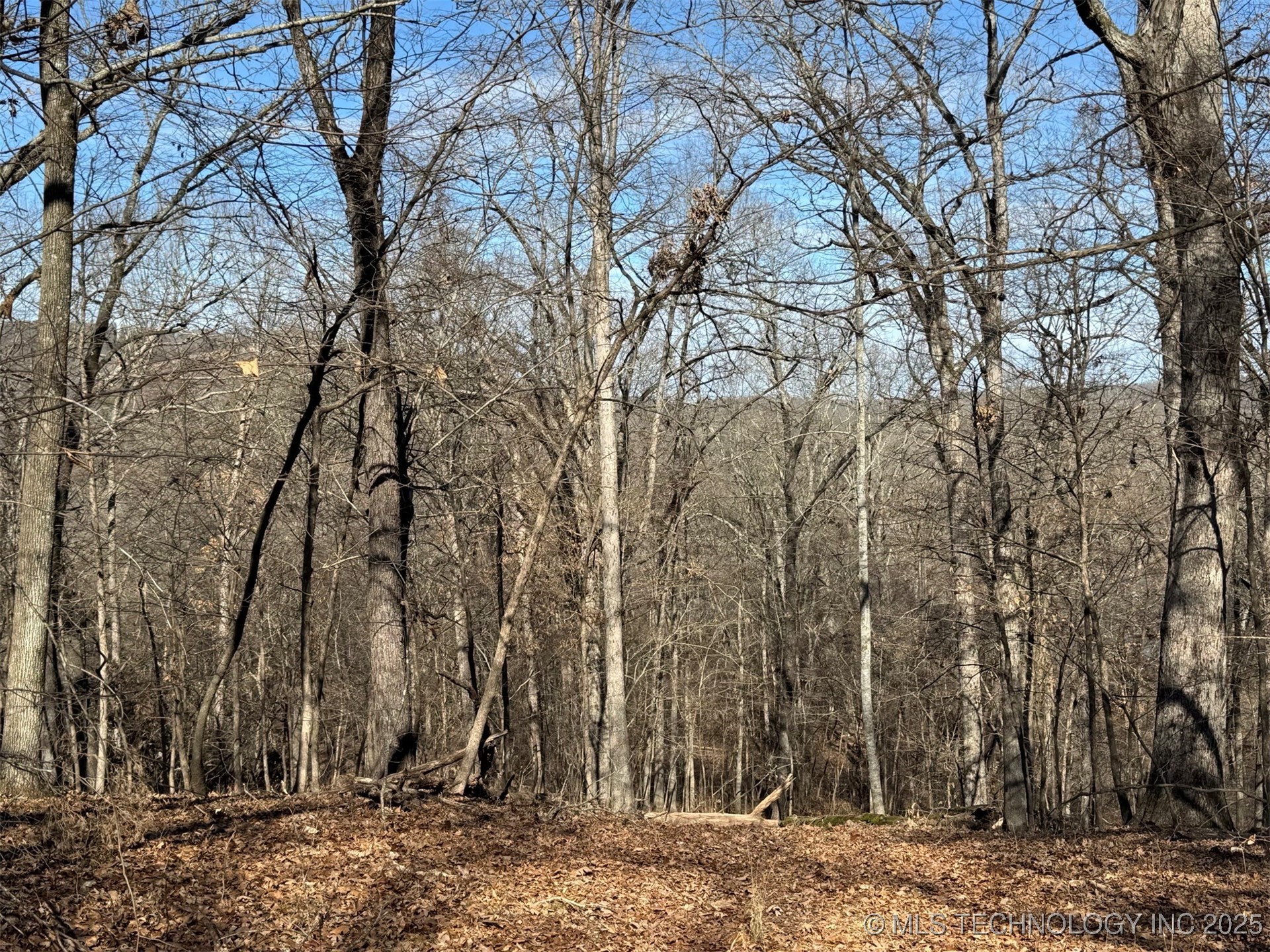 24720 S 555 Road Property Photo 12