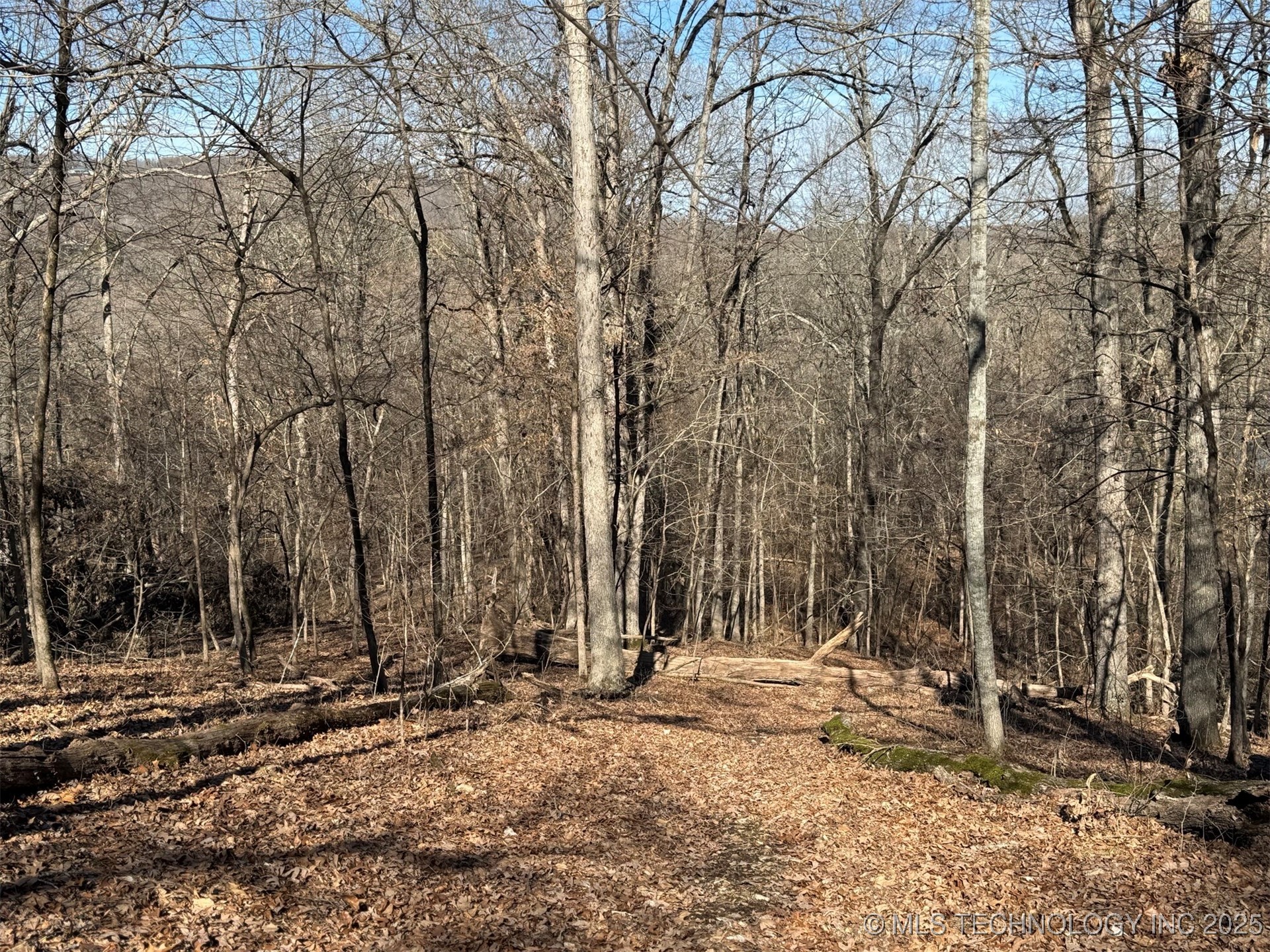 24720 S 555 Road Property Photo 13