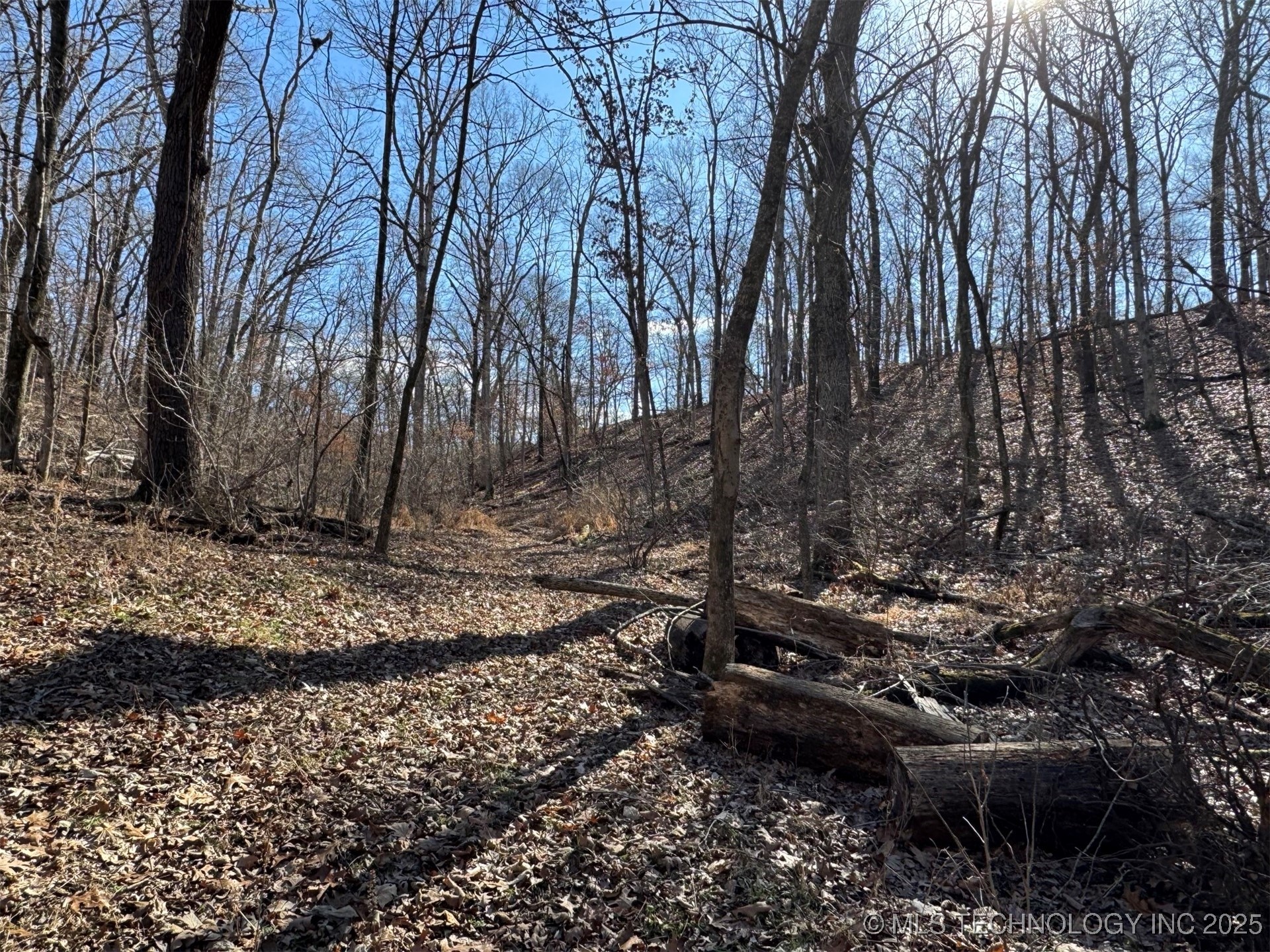 24720 S 555 Road Property Photo 14