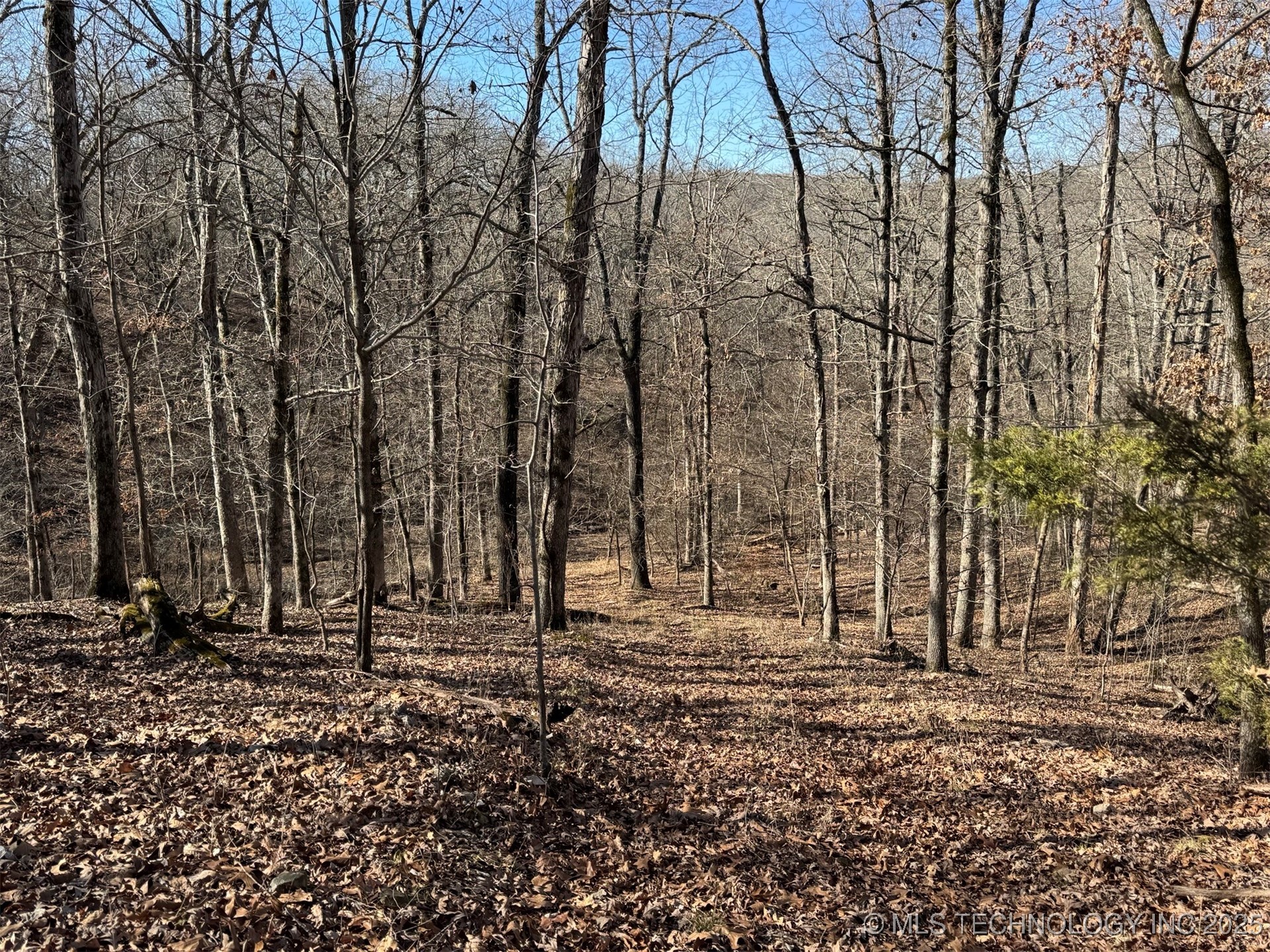 24720 S 555 Road Property Photo 15