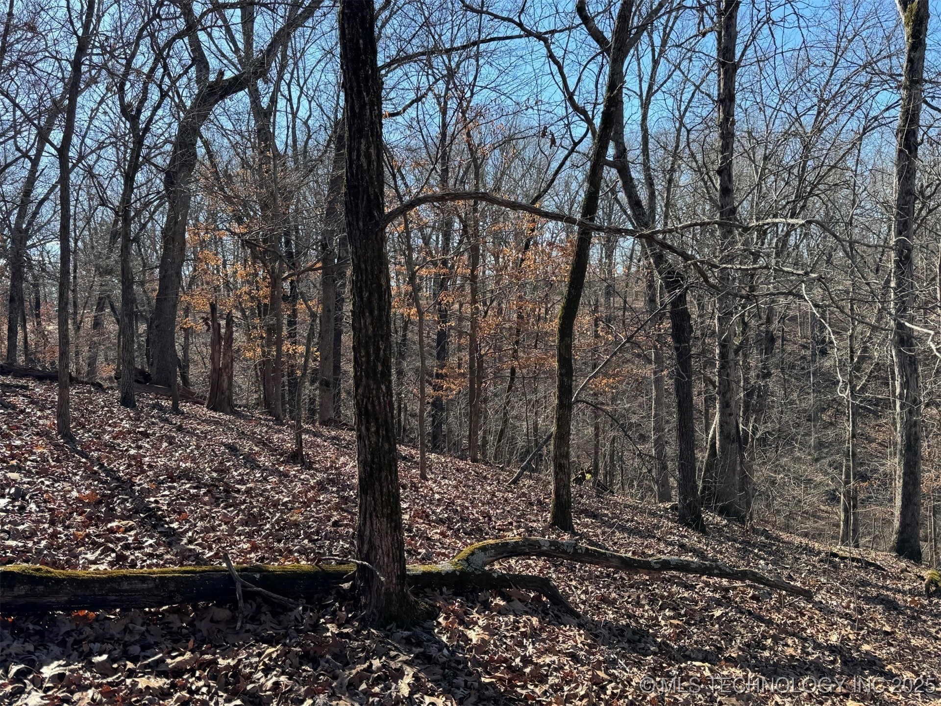 24720 S 555 Road Property Photo 16