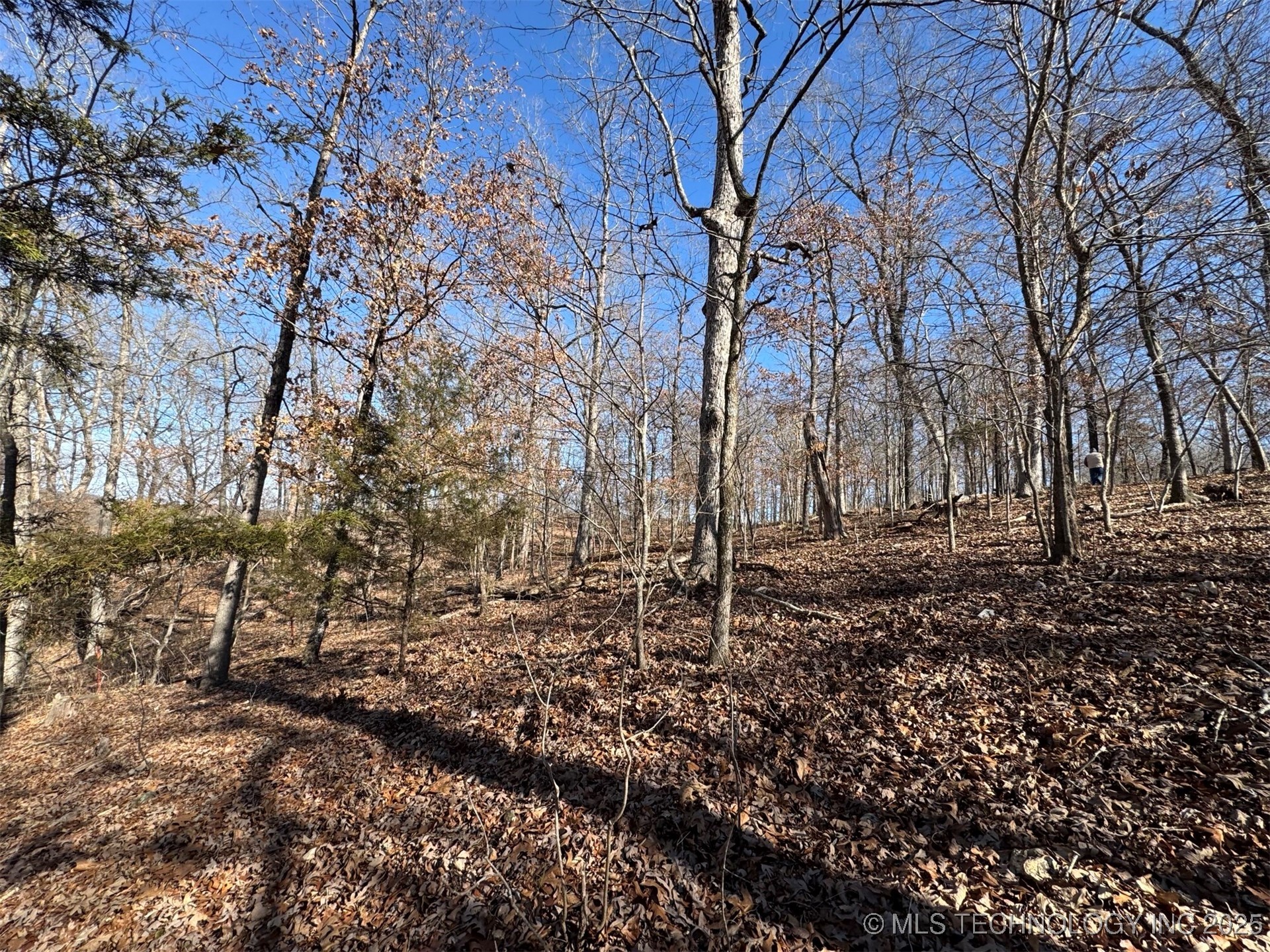 24720 S 555 Road Property Photo 17