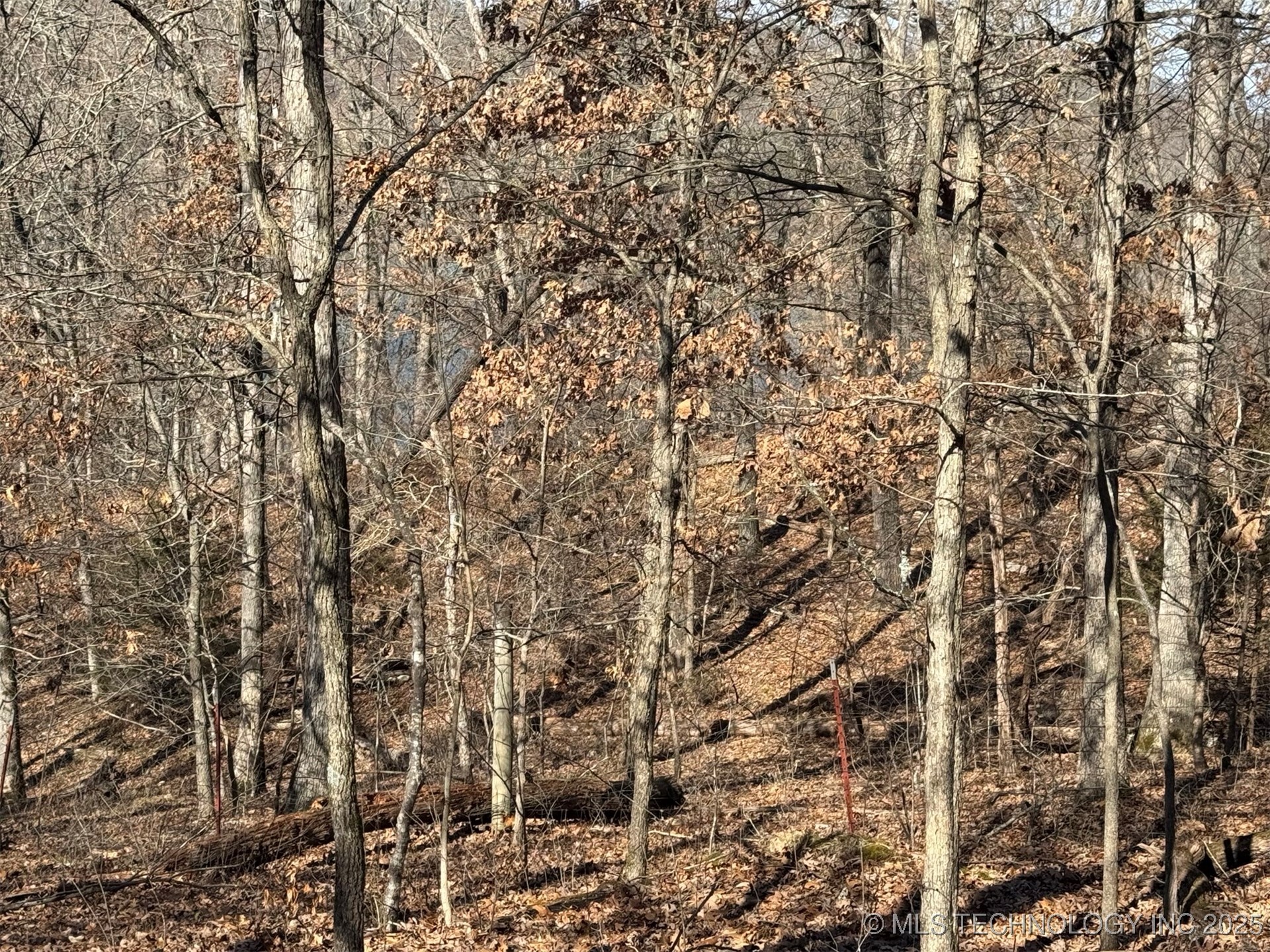 24720 S 555 Road Property Photo 18