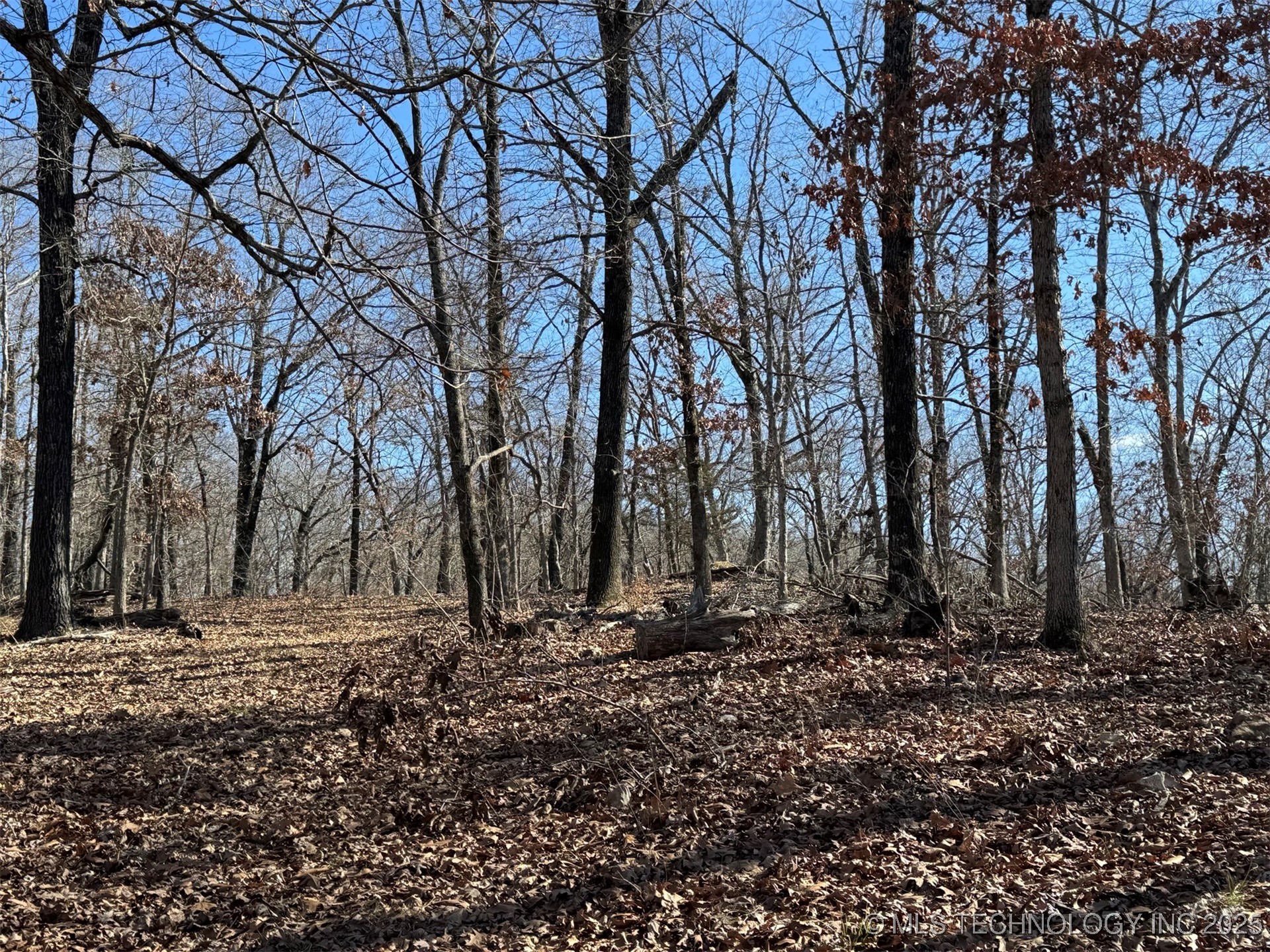 24720 S 555 Road Property Photo 19