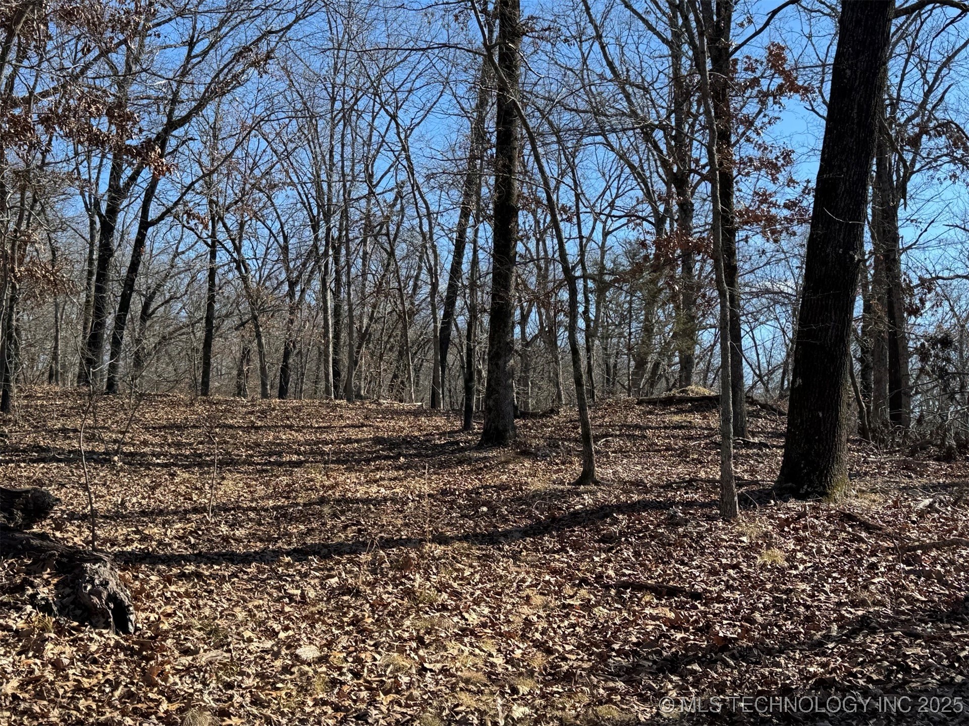 24720 S 555 Road Property Photo 20