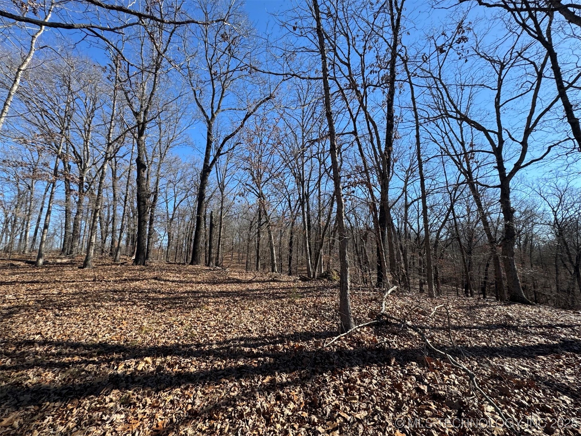 24720 S 555 Road Property Photo 21