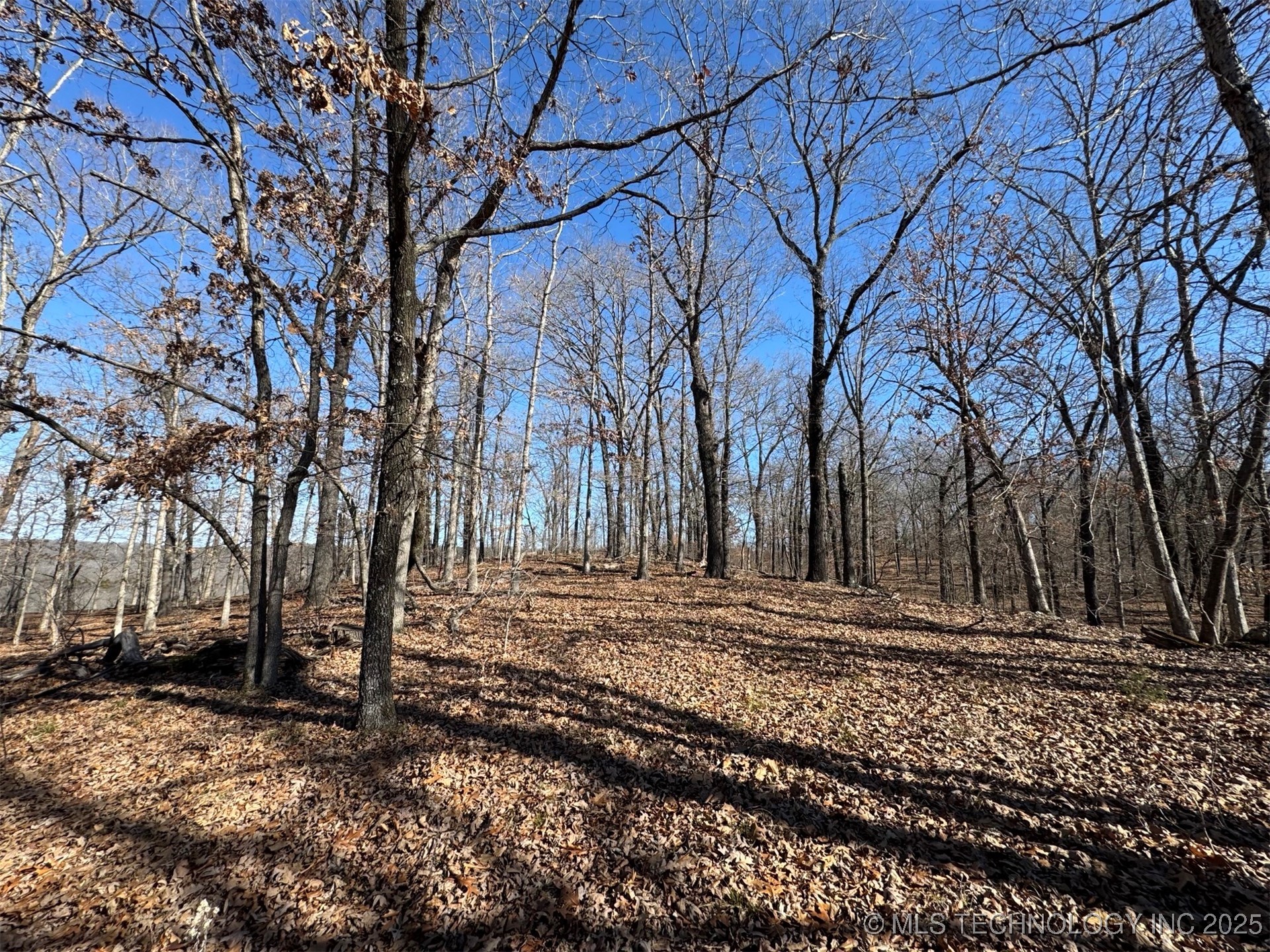 24720 S 555 Road Property Photo 22