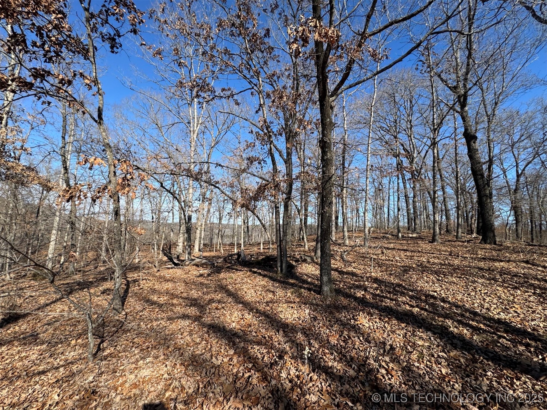 24720 S 555 Road Property Photo 23