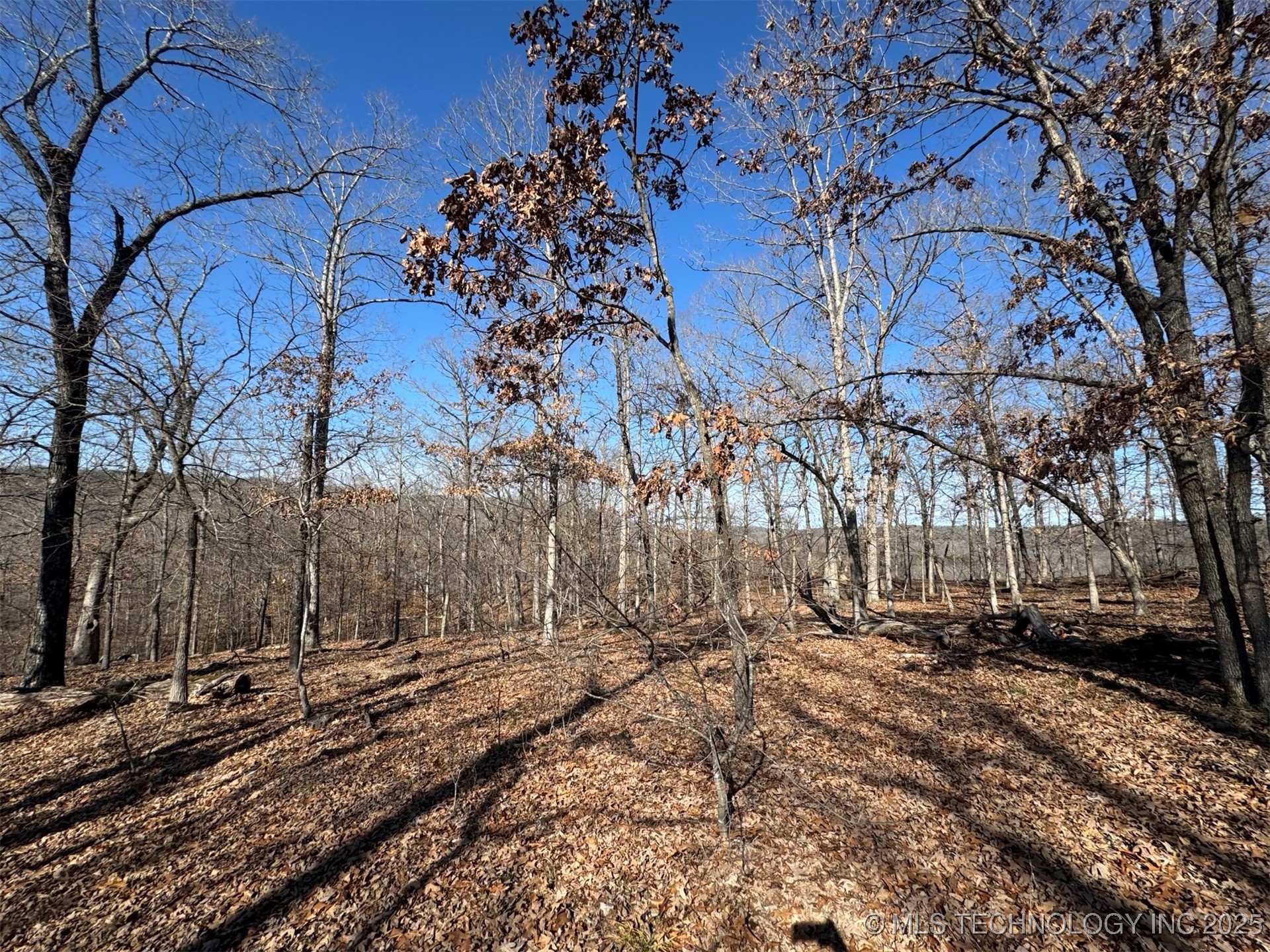 24720 S 555 Road Property Photo 24