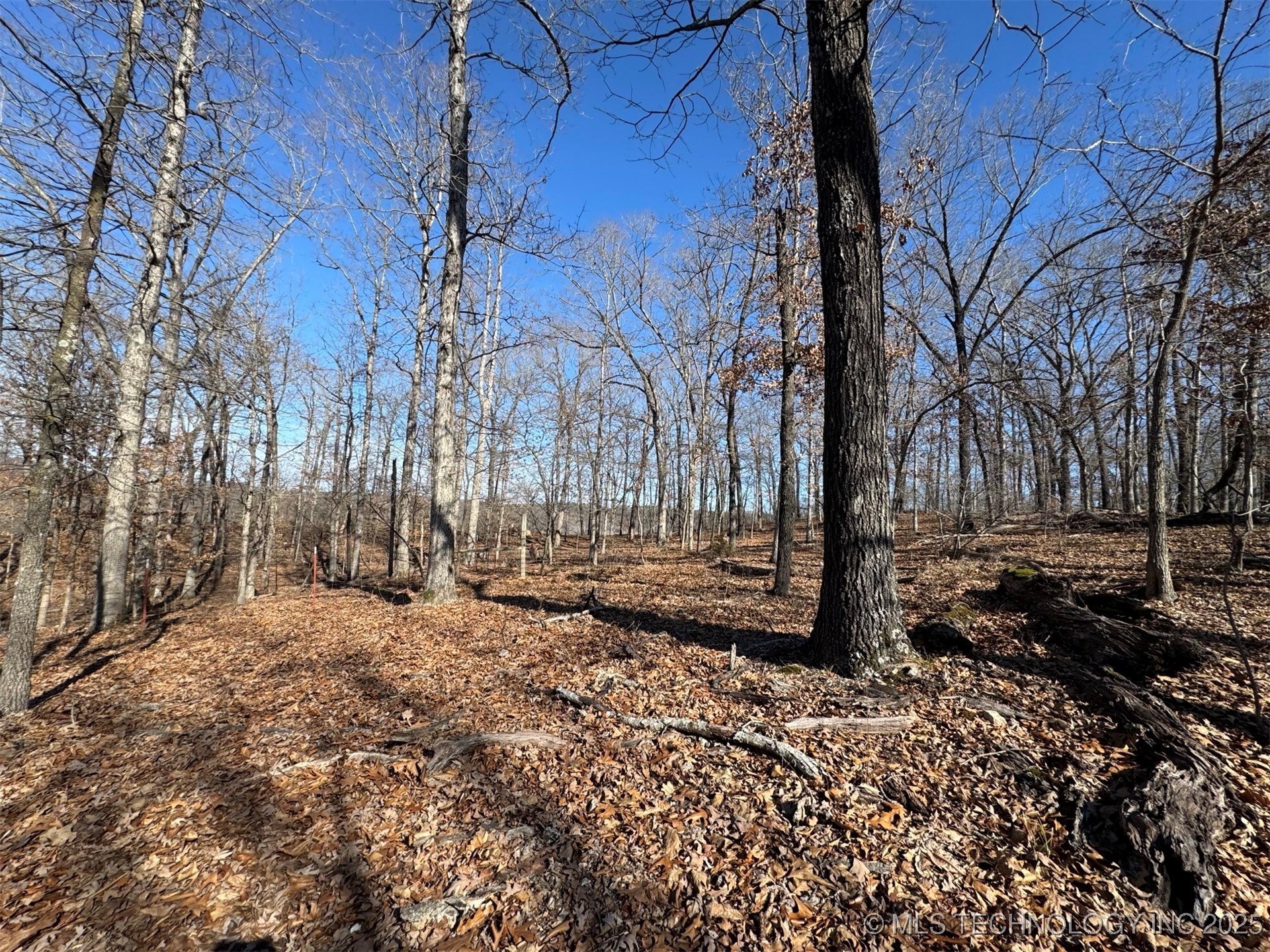 24720 S 555 Road Property Photo 25