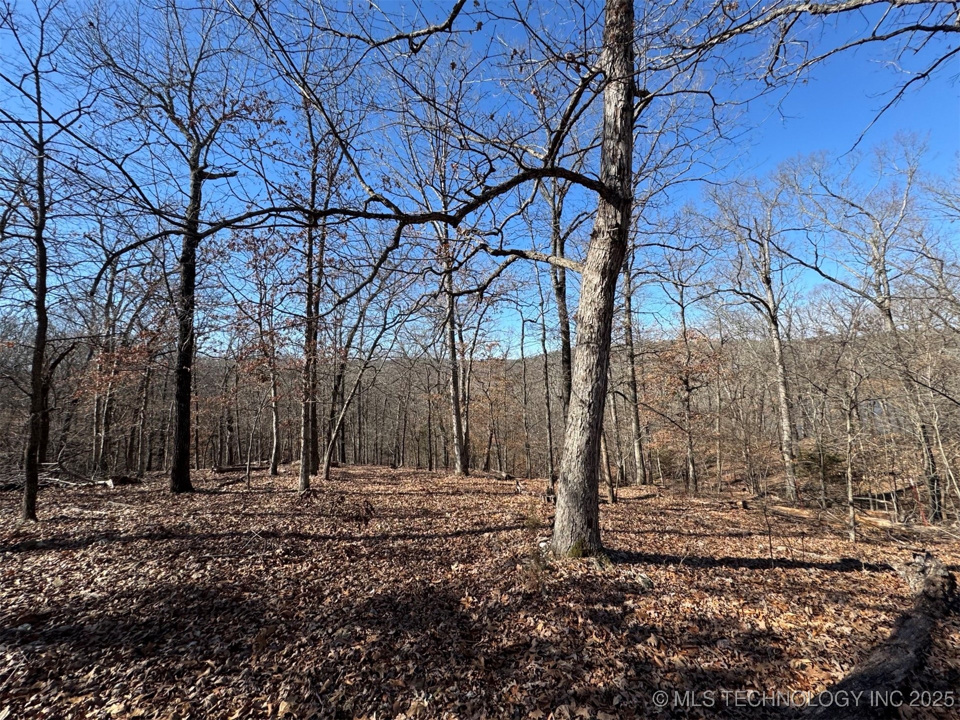 24720 S 555 Road Property Photo 26