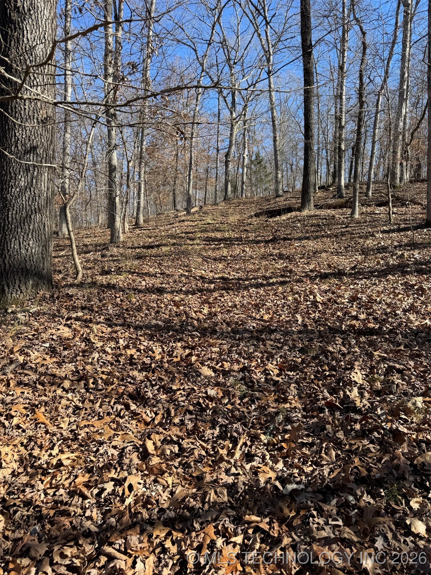 24720 S 555 Road Property Photo 27