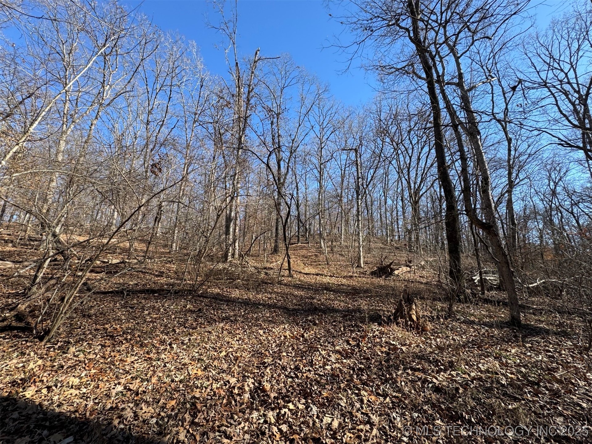 24720 S 555 Road Property Photo 28