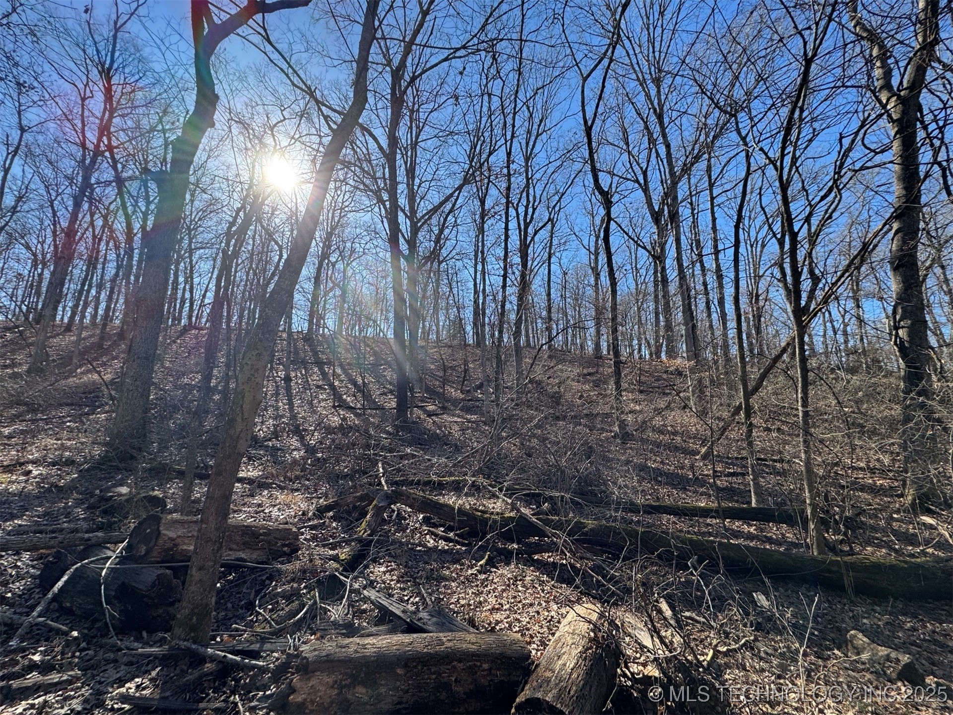 24720 S 555 Road Property Photo 29