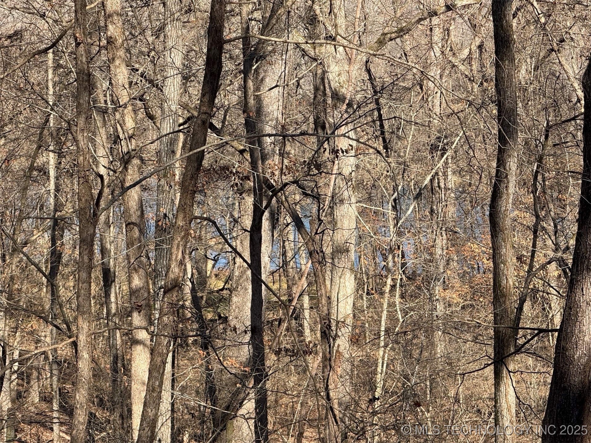 24720 S 555 Road Property Photo 30