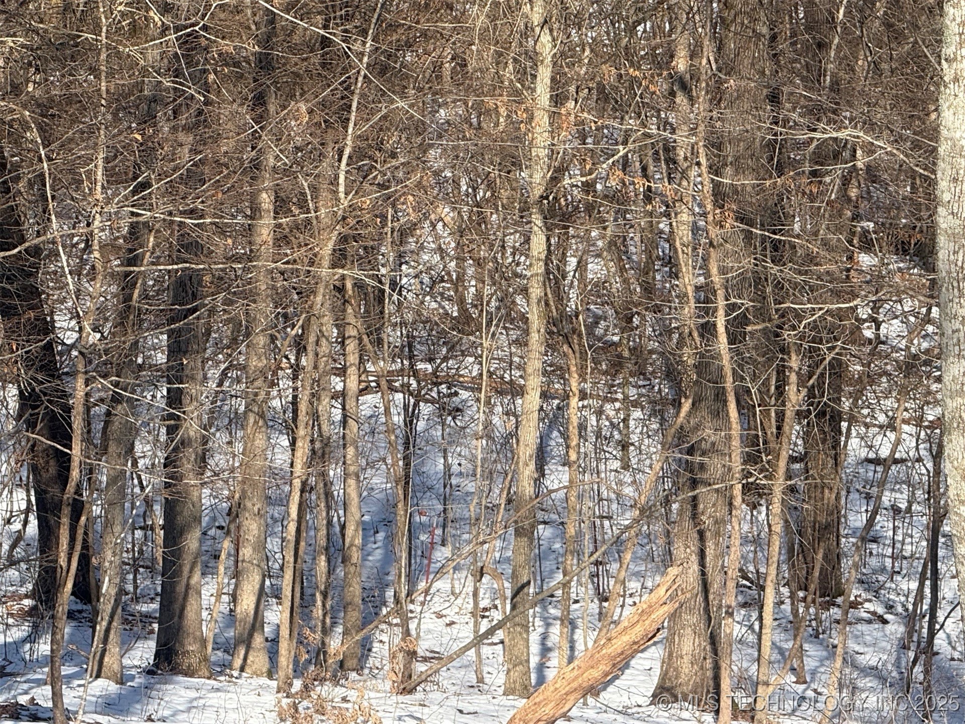 24720 S 555 Road Property Photo 31