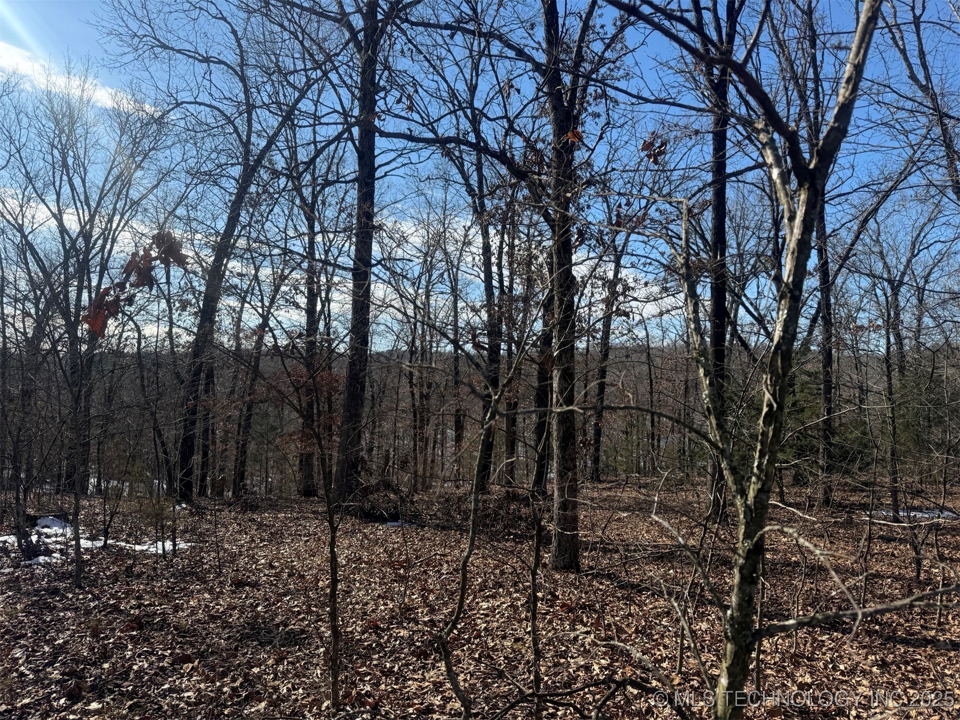 24720 S 555 Road Property Photo 38