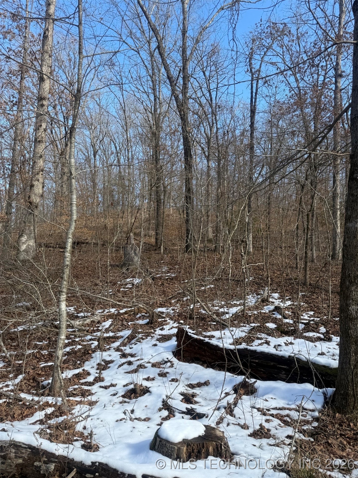 24720 S 555 Road Property Photo 39