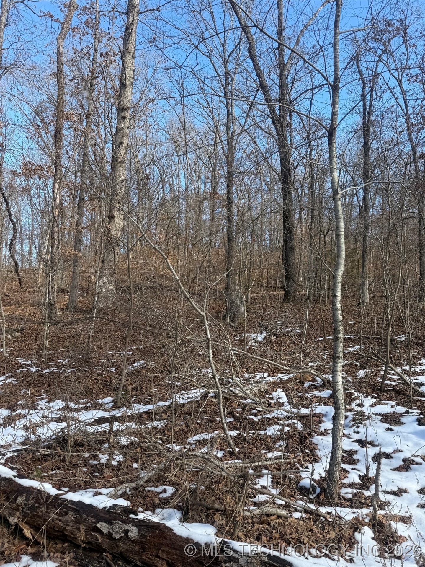 24720 S 555 Road Property Photo 40