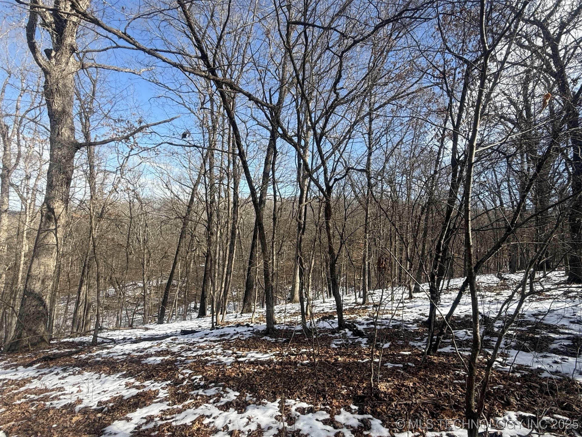 24720 S 555 Road Property Photo 46