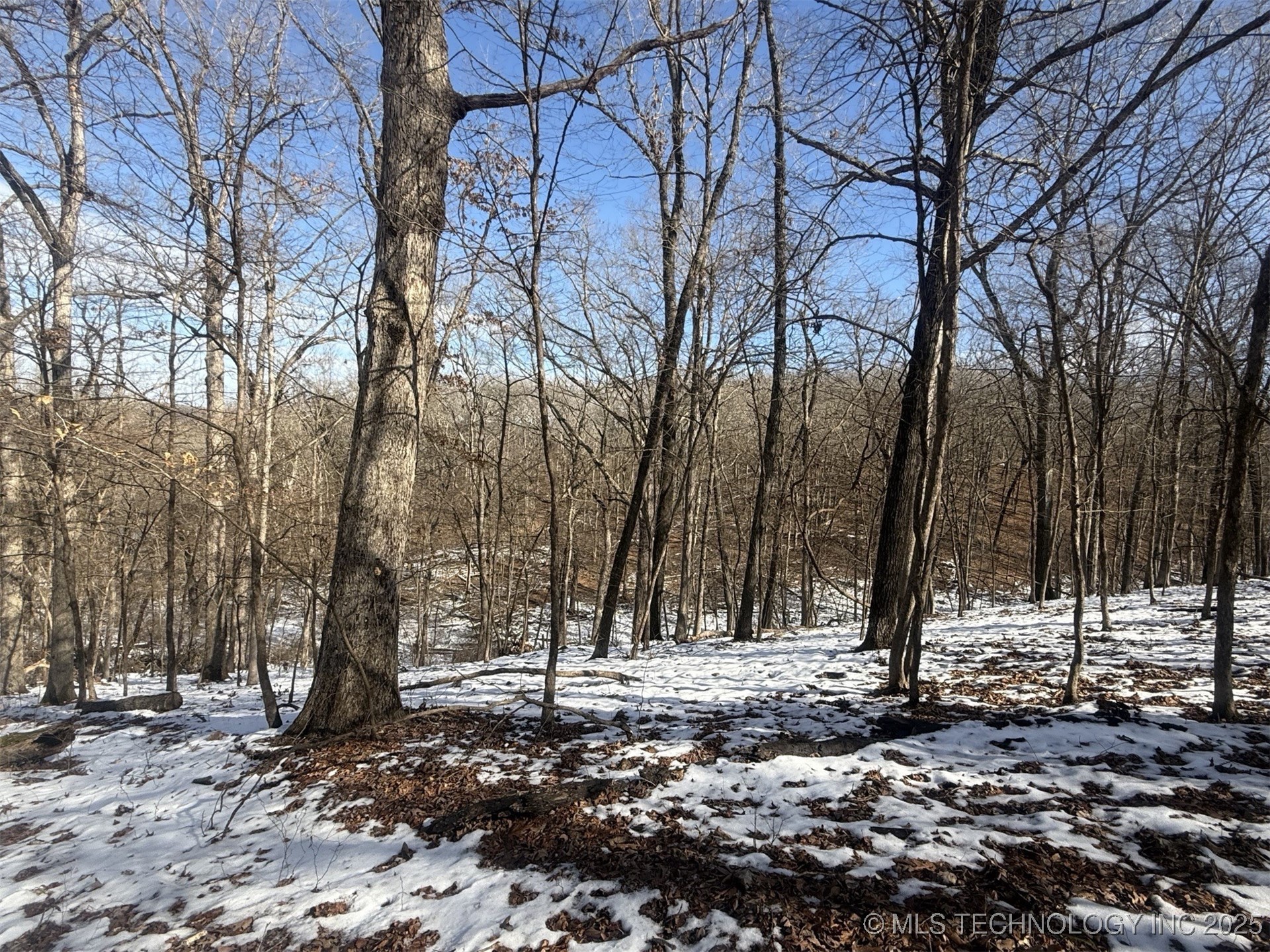 24720 S 555 Road Property Photo 47