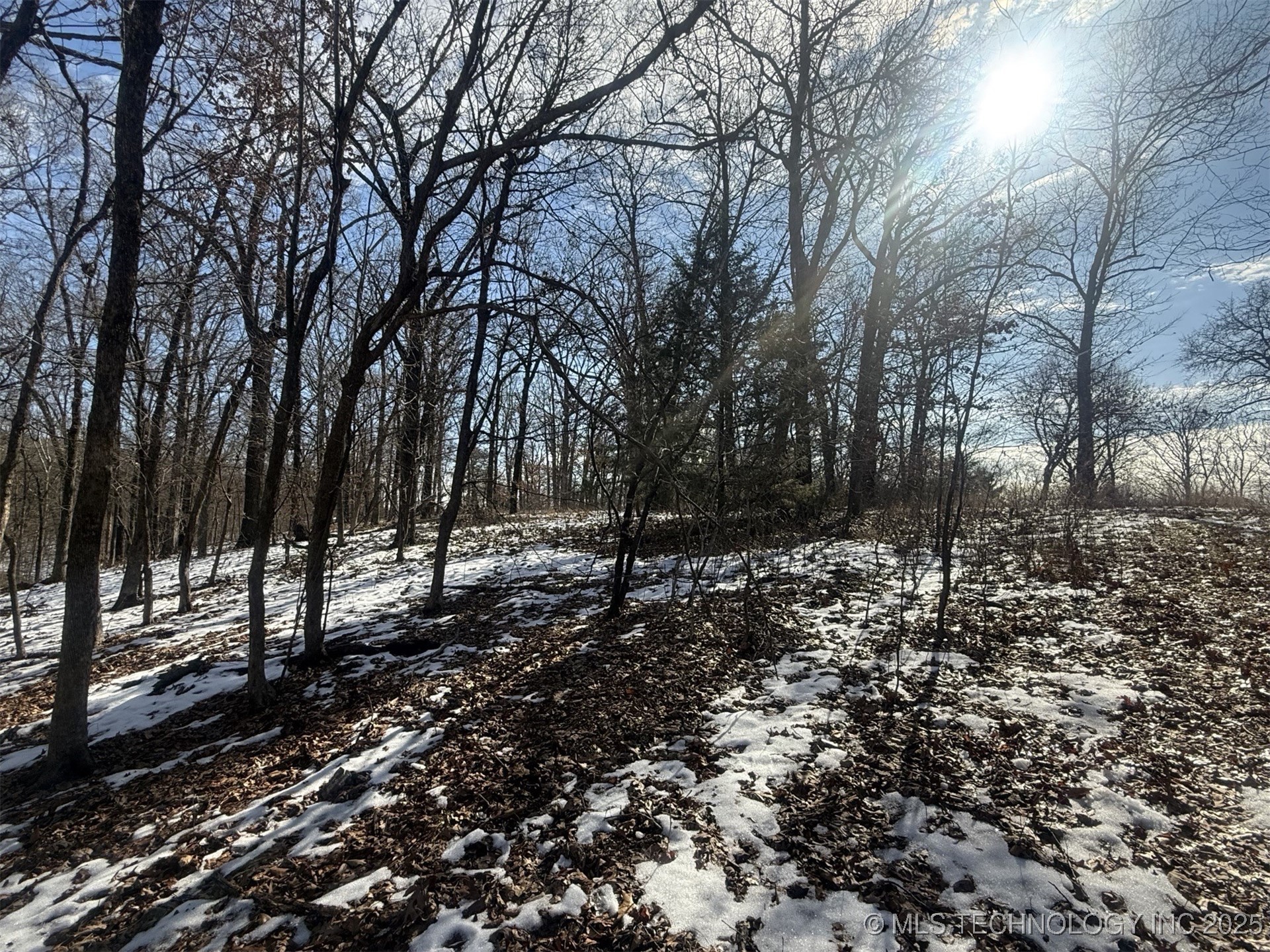 24720 S 555 Road Property Photo 48