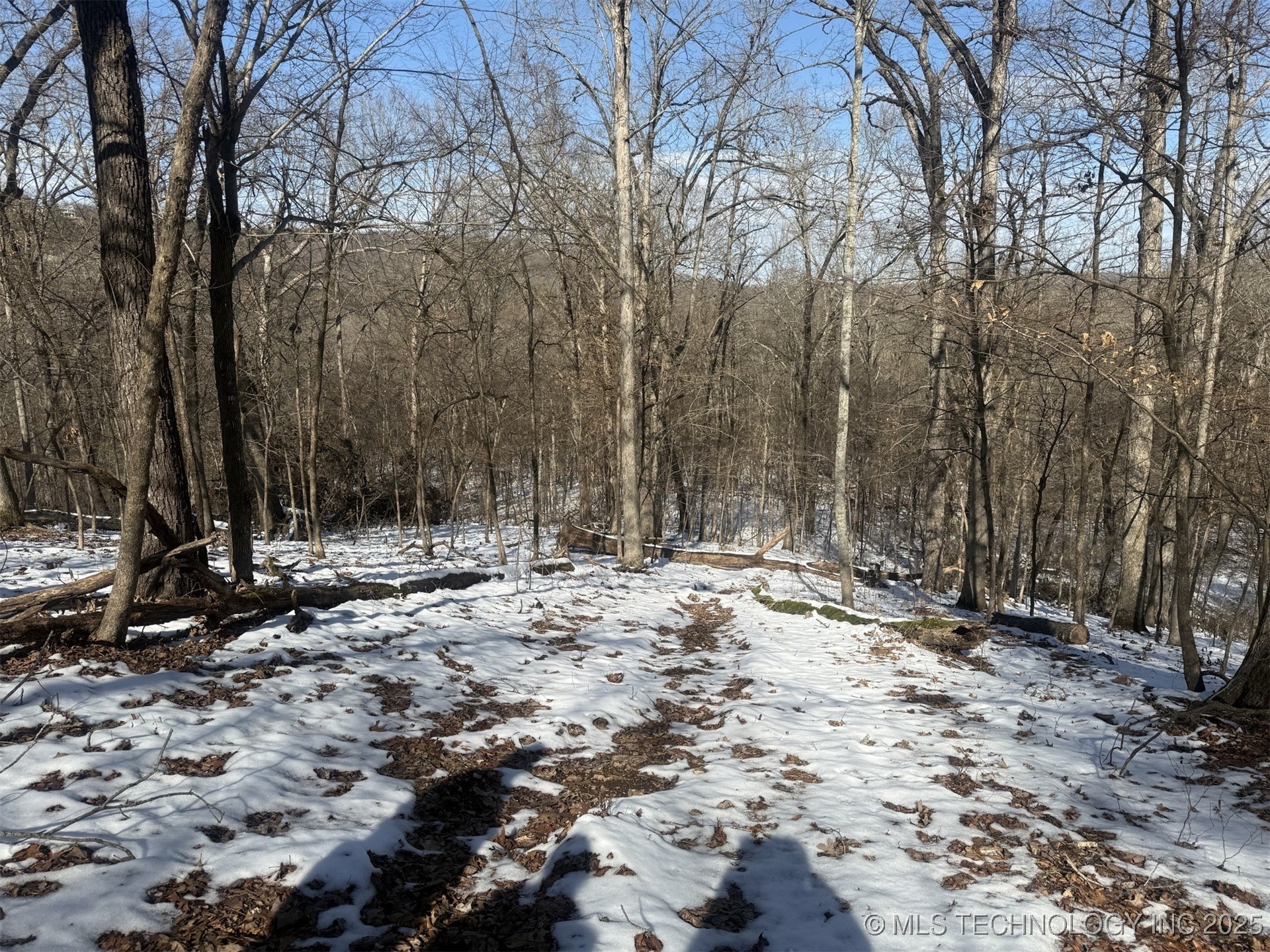 24720 S 555 Road Property Photo 49