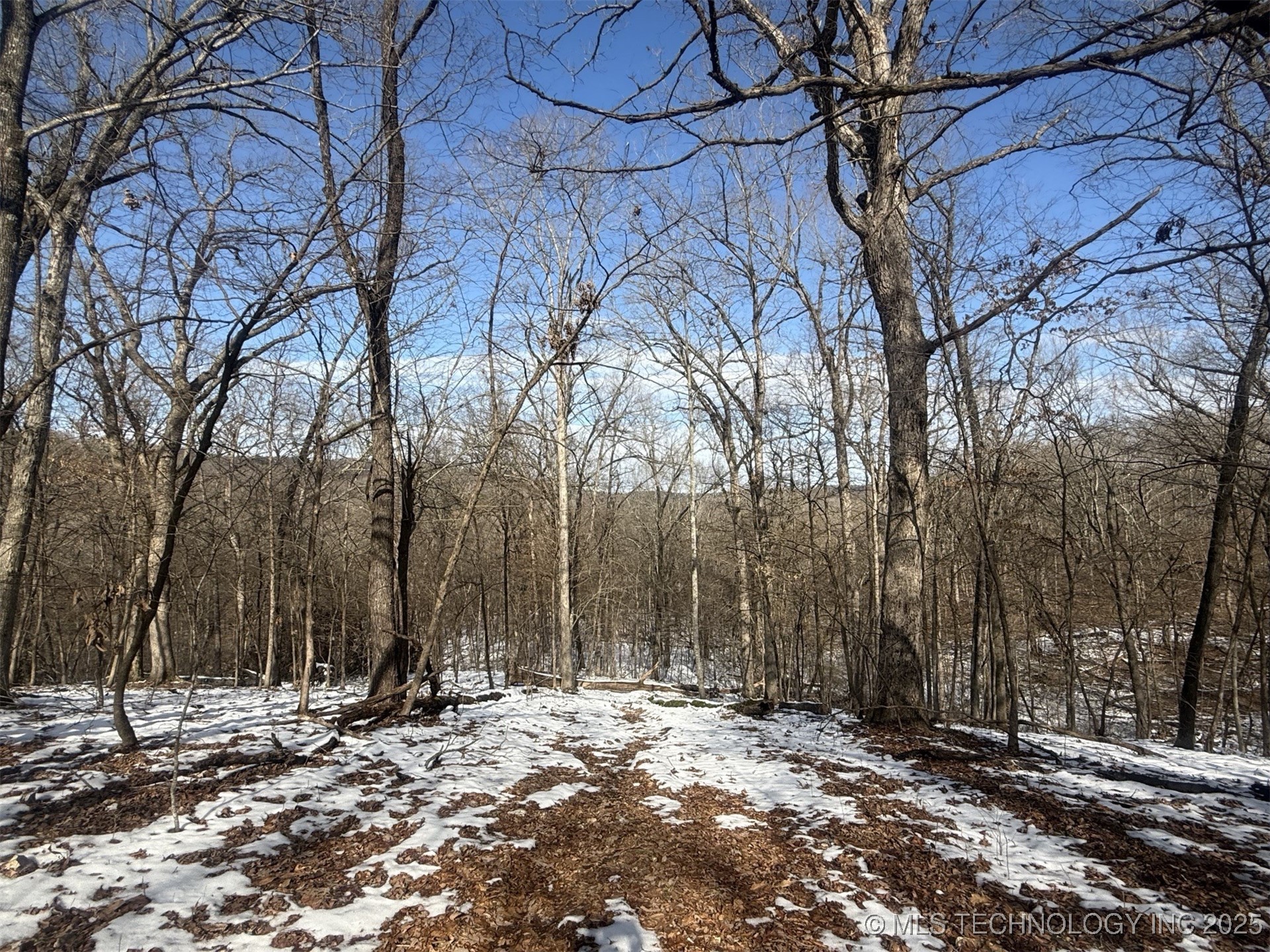 24720 S 555 Road Property Photo 52