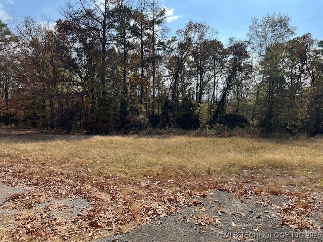 12014 State Hwy 4 Property Photo 15